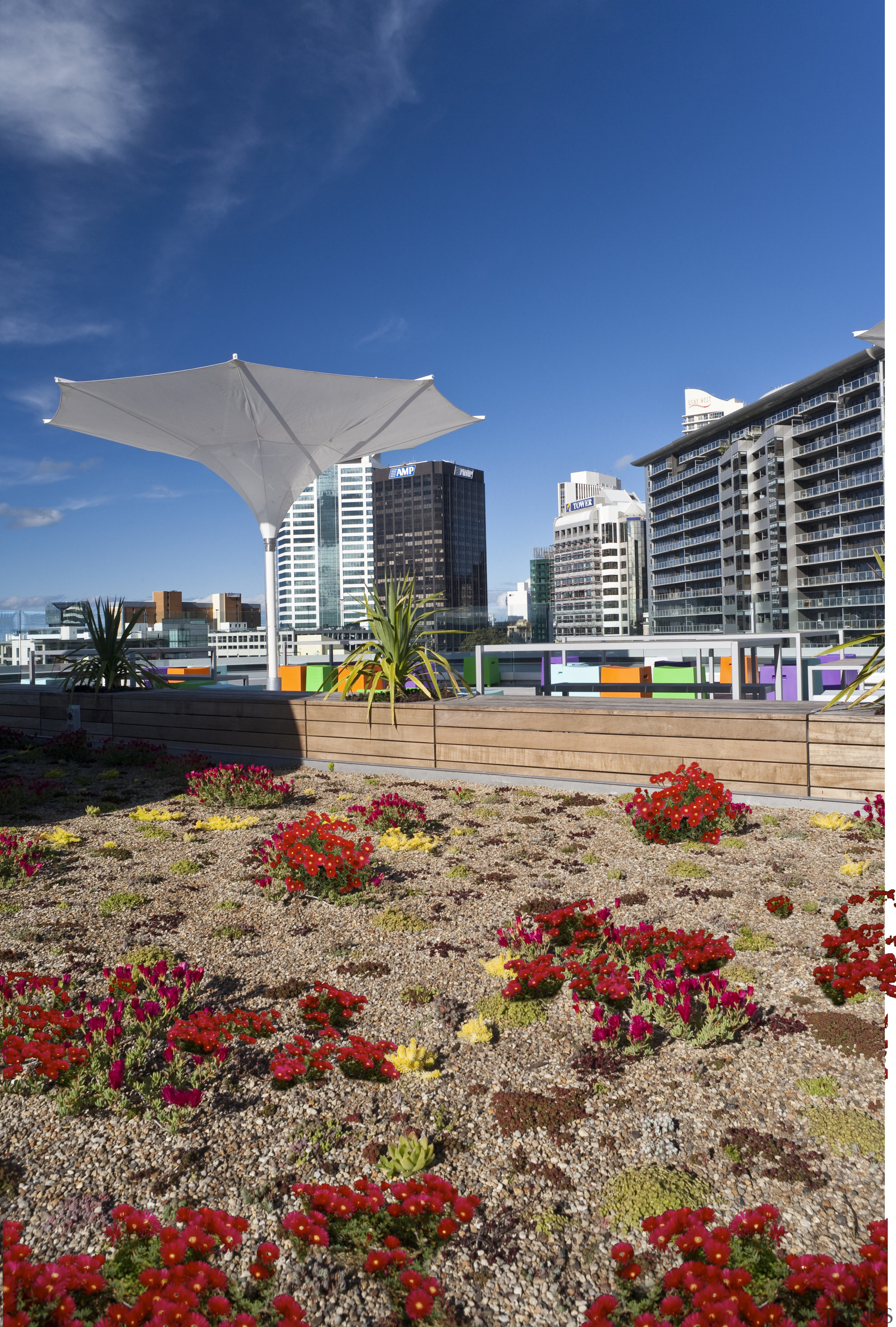 Greenroofs Ltd of Ponsonby developed the green roof architecture, city, condominium, daytime, flower, metropolitan area, plant, real estate, roof, sky, urban area, blue