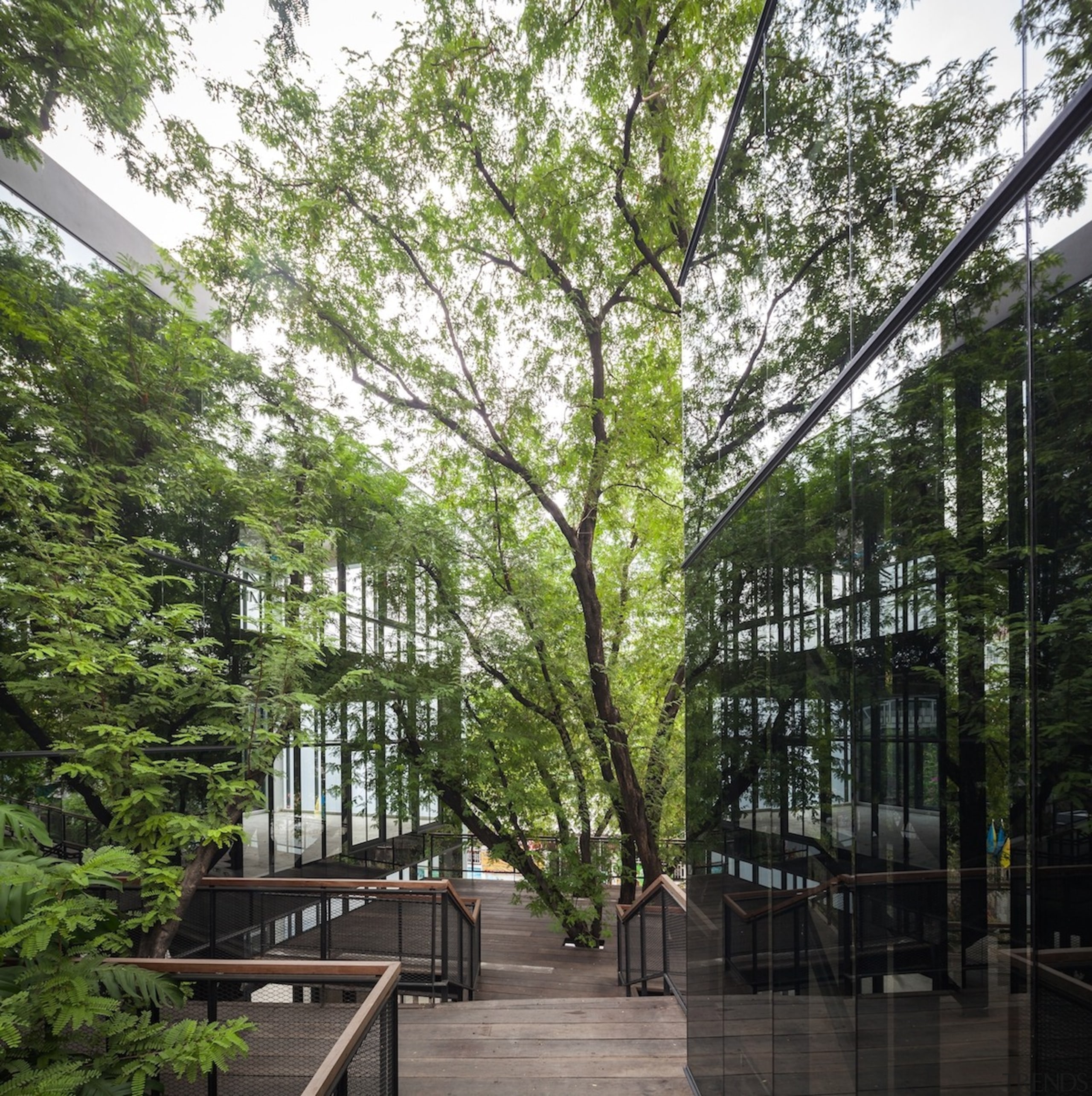 Naiipa 04 - architecture | condominium | leaf architecture, condominium, leaf, mixed use, neighbourhood, plant, residential area, tree, black