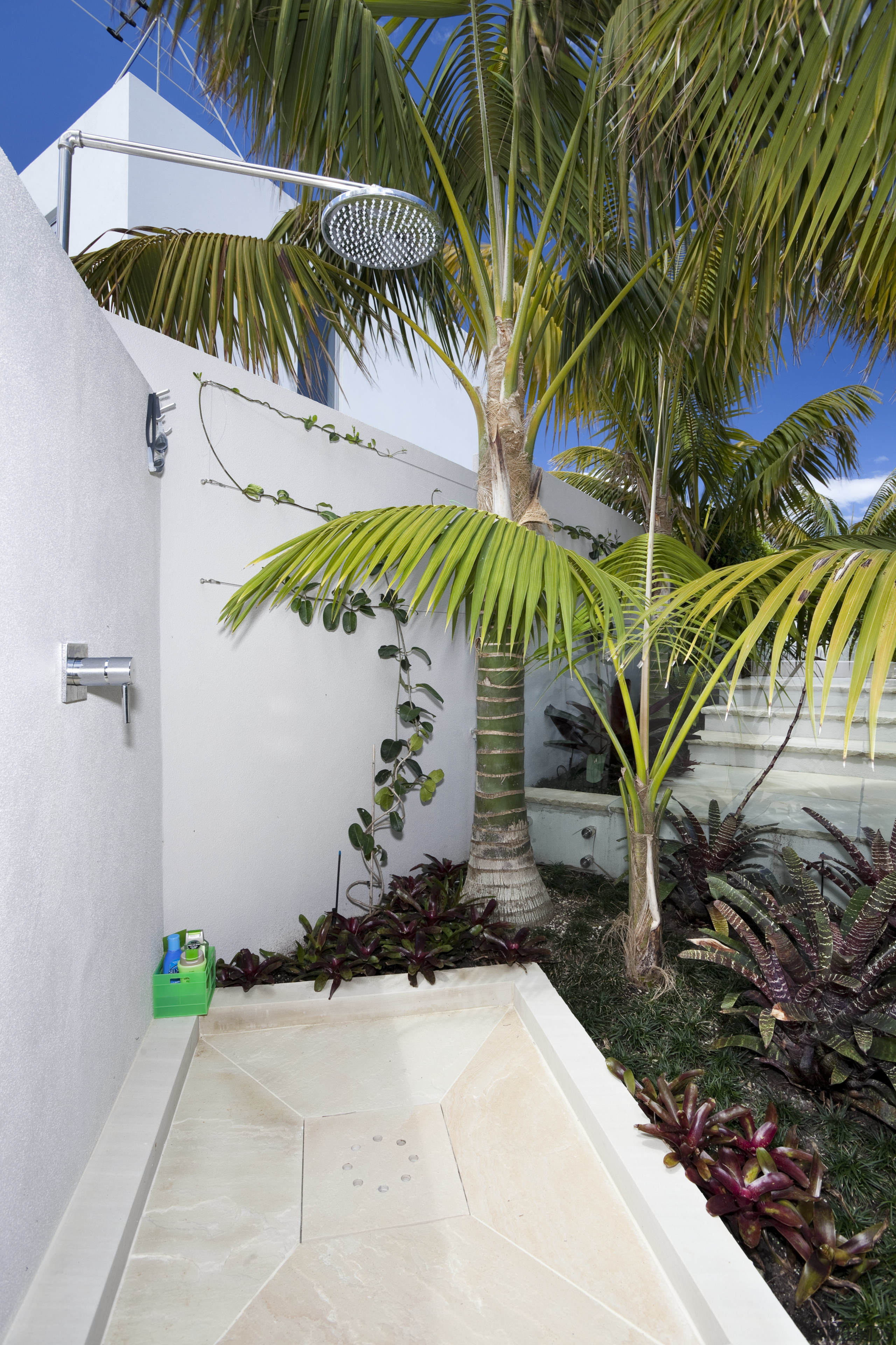 View of pool and patio area of contemporary arecales, house, palm tree, plant, property, real estate, tree, white, brown