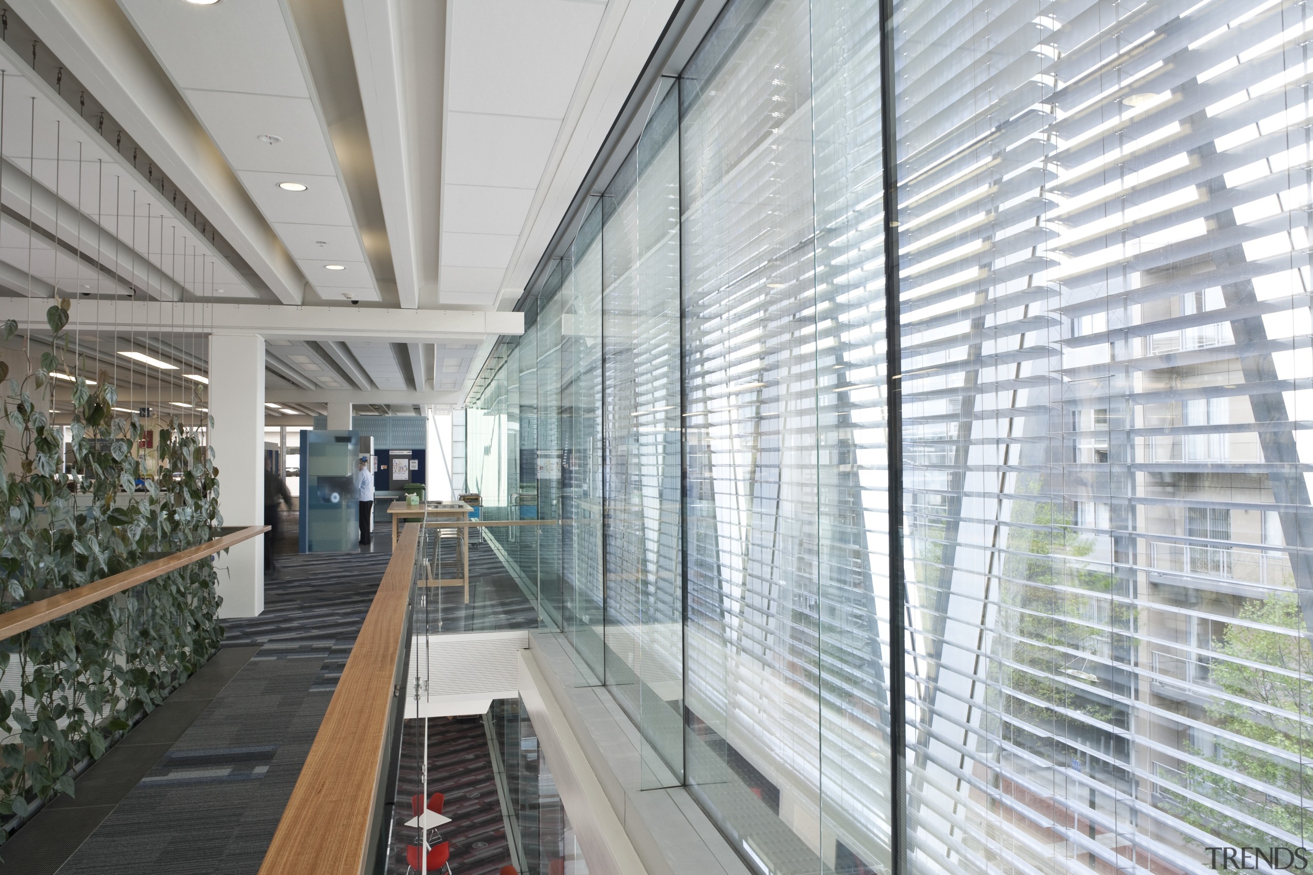 New Zealand Window Shades manufactured and installed the architecture, building, daylighting, facade, glass, gray