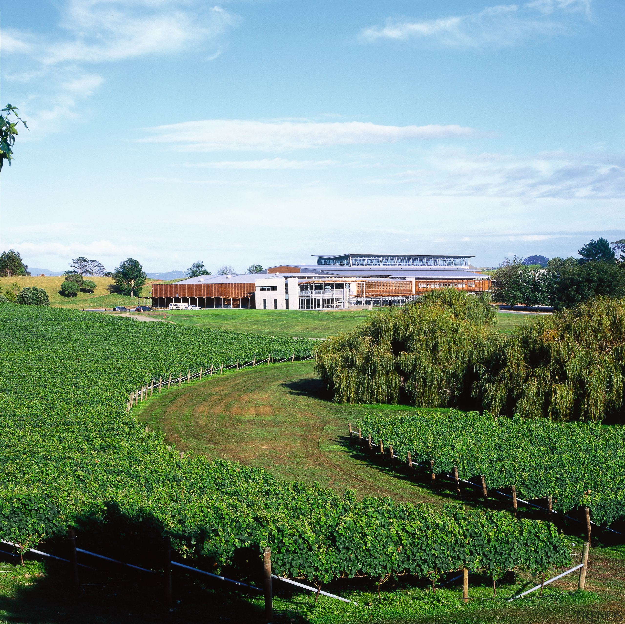 Exterior, overall view of the Villa Maria winery, agriculture, cloud, estate, farm, field, grass, grassland, highland, house, land lot, landscape, meadow, pasture, plain, plantation, real estate, rural area, sky, tree, vineyard, green