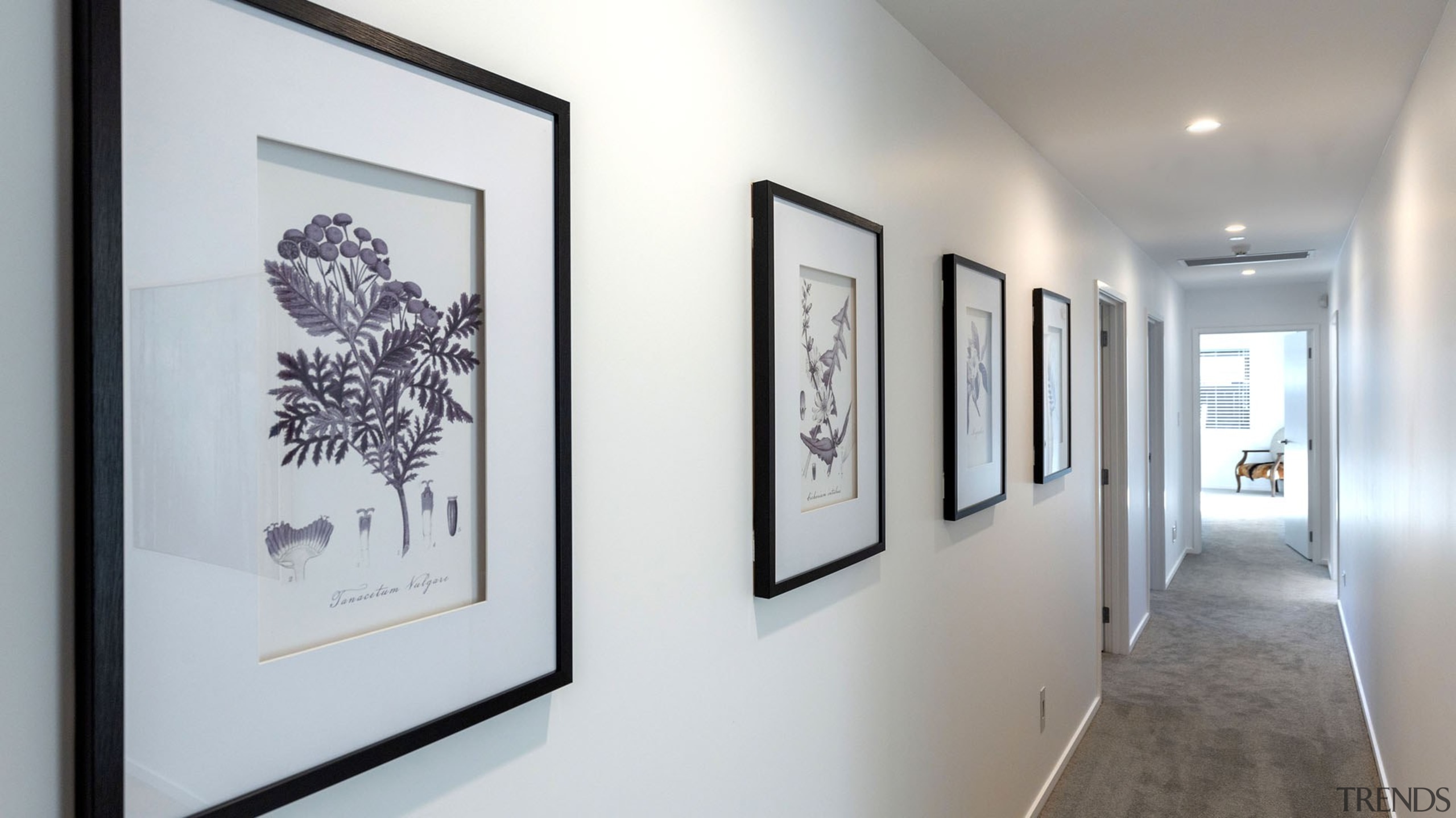 A central corridor runs from the front door 