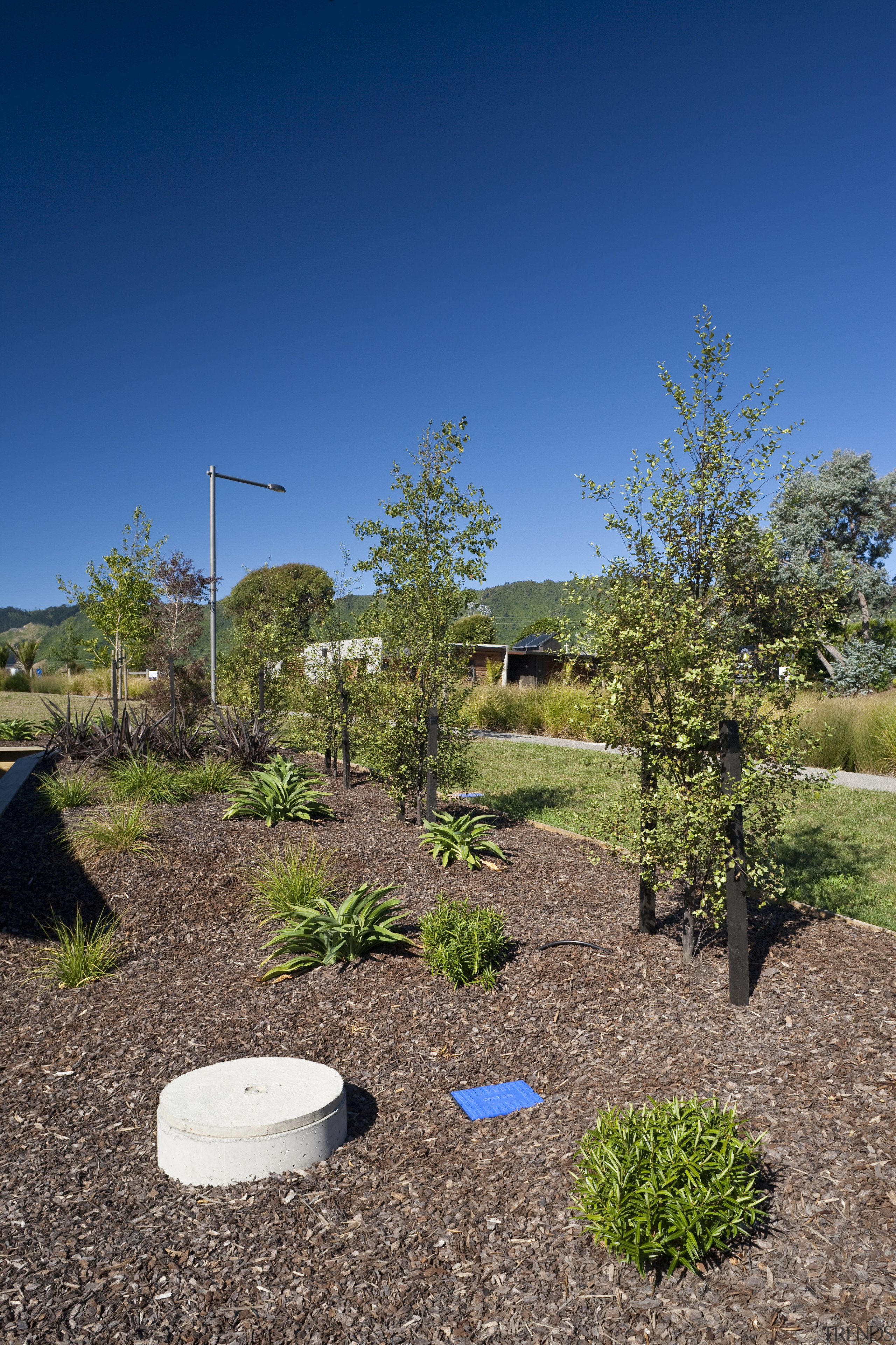 Exterior view of an energy-efficient home and gardens backyard, estate, field, garden, grass, landscape, landscaping, leaf, plant, real estate, shrub, sky, tree, vegetation, yard, blue, brown