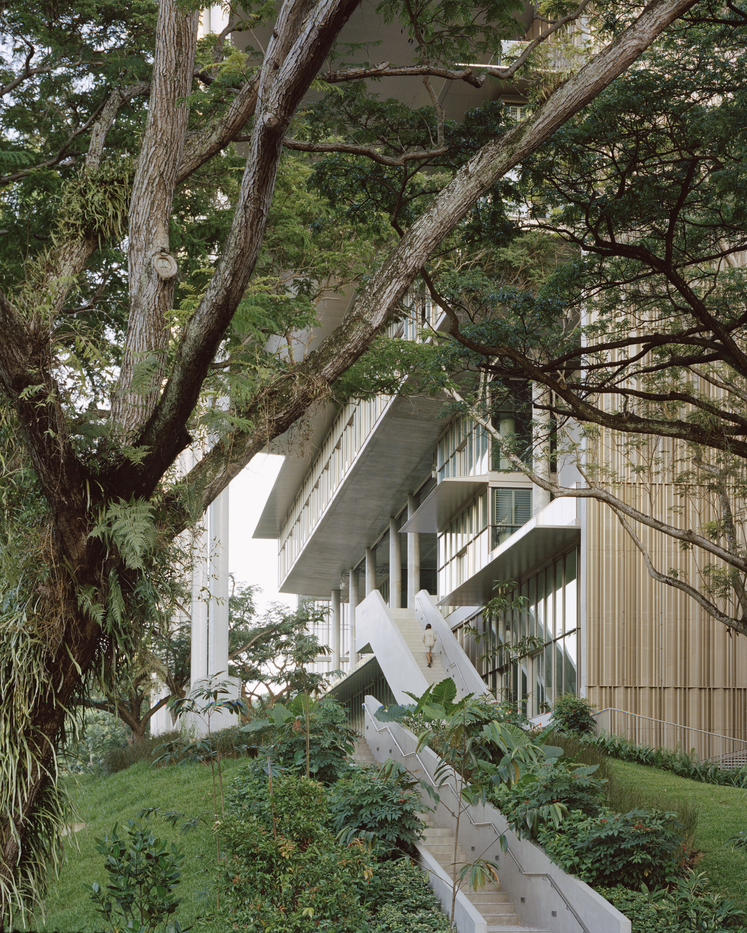 The innovative SDE4 building looks out through mature architecture, plants, roof, tree, yard, SDE4 building, university, energy efficiency