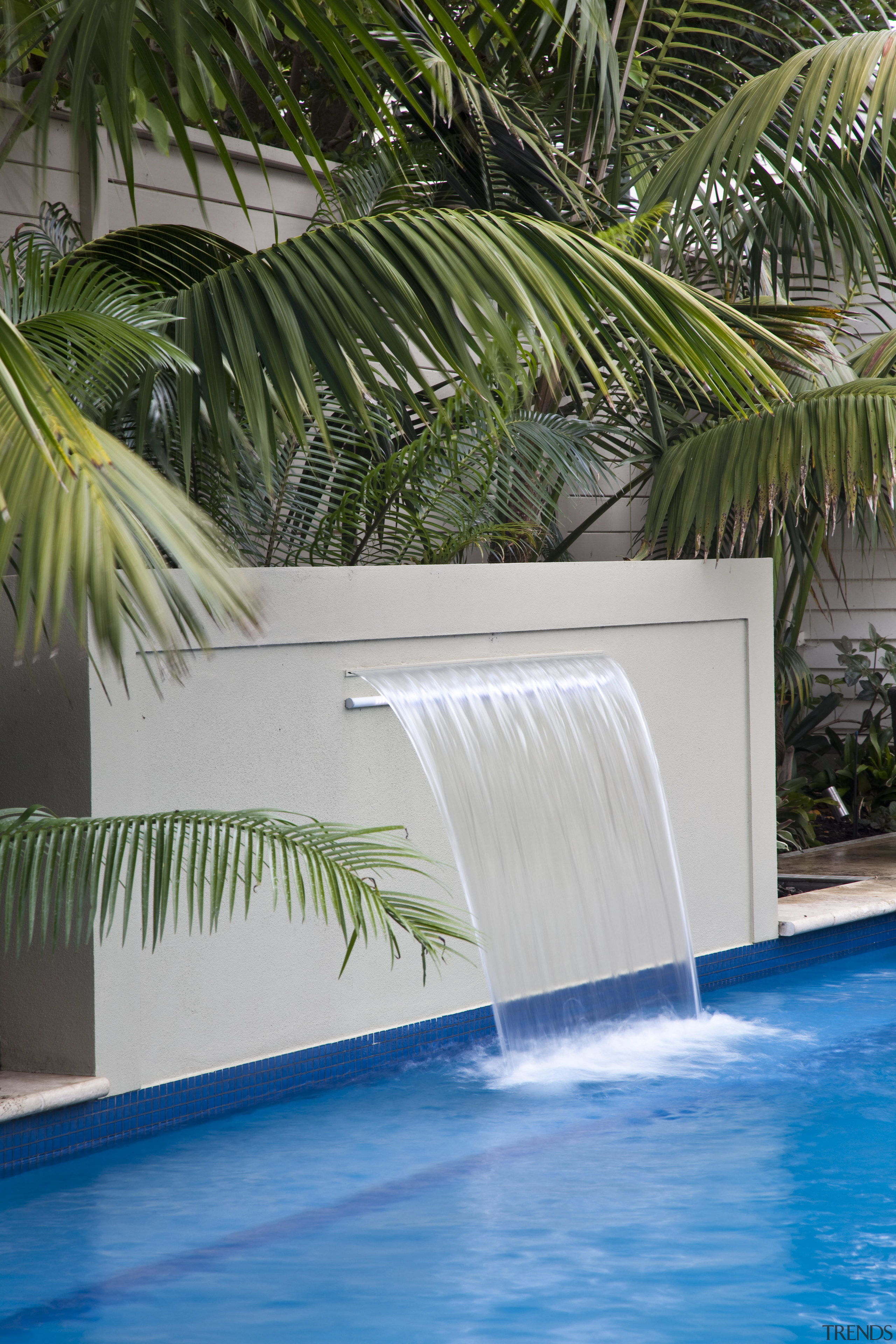View of outdoor area with pool, paving, fountain, arecales, leisure, palm tree, plant, property, resort, swimming pool, tree, tropics, water, water feature, gray