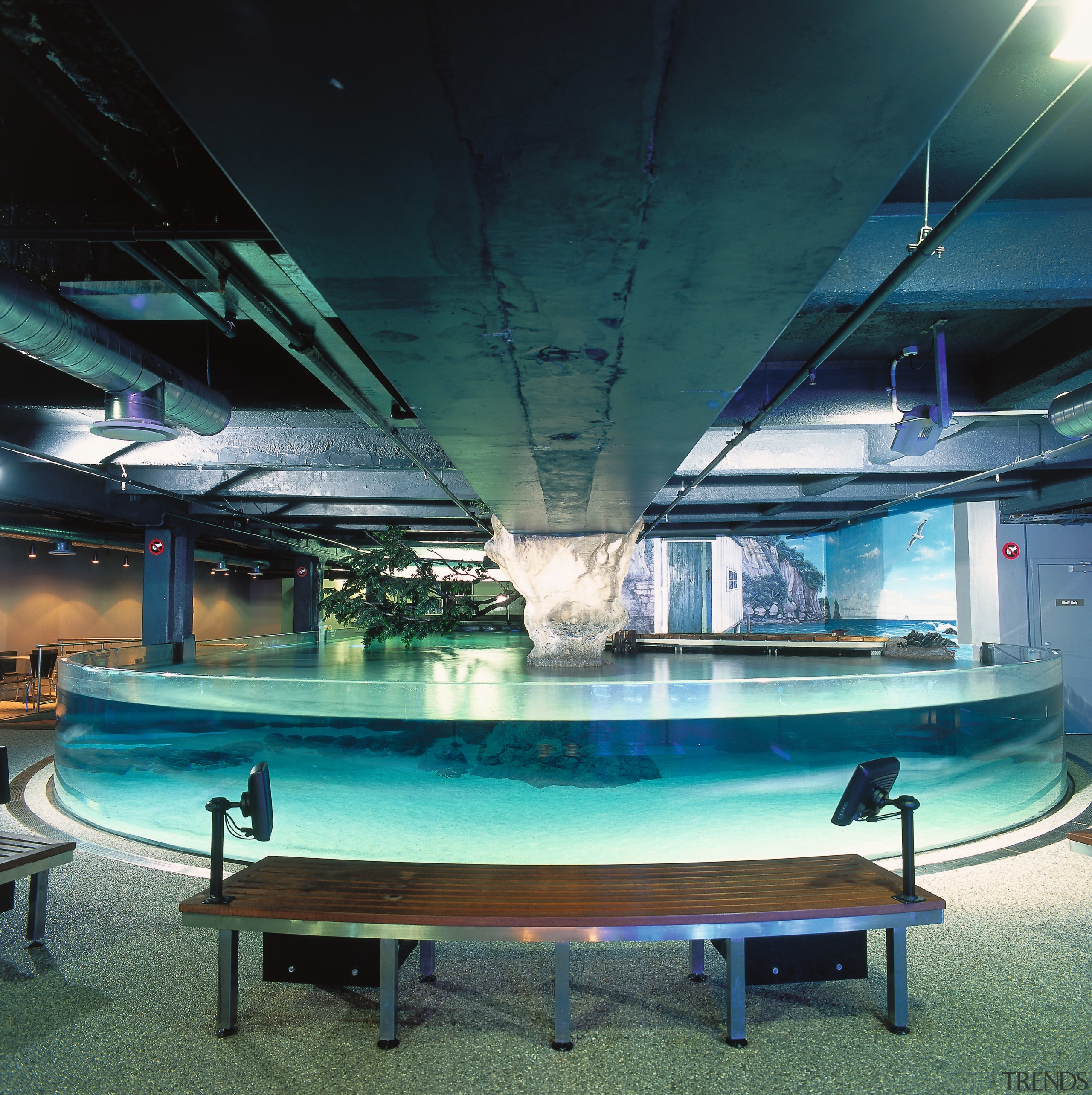 View of large round open stingray aquarium with leisure, leisure centre, lighting, pool, swimming pool, table, water, black, teal