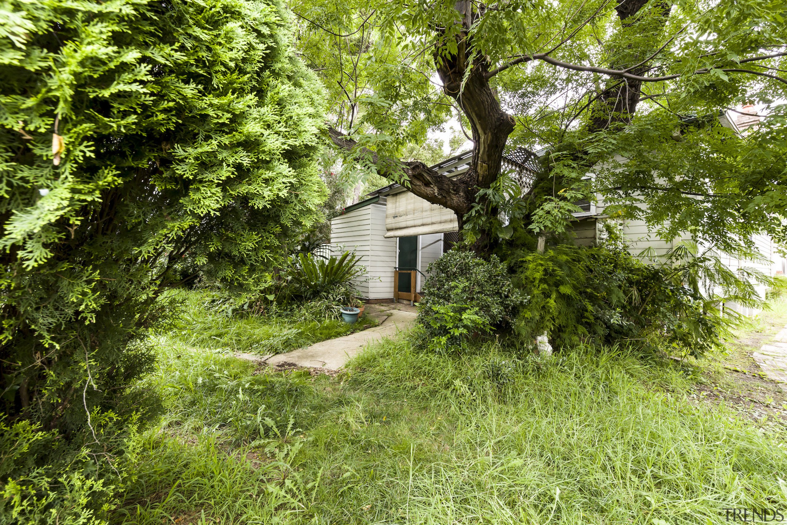 View to existing house from shed. - Light, 