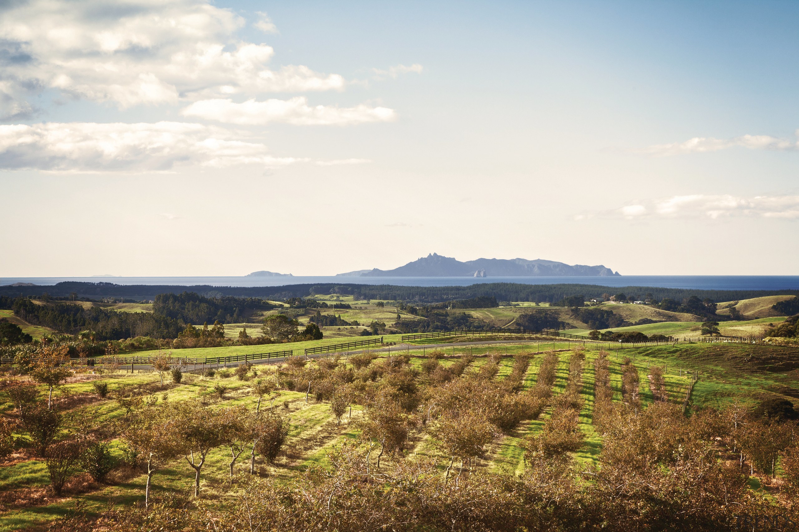 The majority of building sites in the new cloud, ecoregion, farm, field, grass, grassland, highland, hill, horizon, landscape, mountain, plain, plateau, prairie, rural area, savanna, shrubland, sky, steppe, tree, white, brown