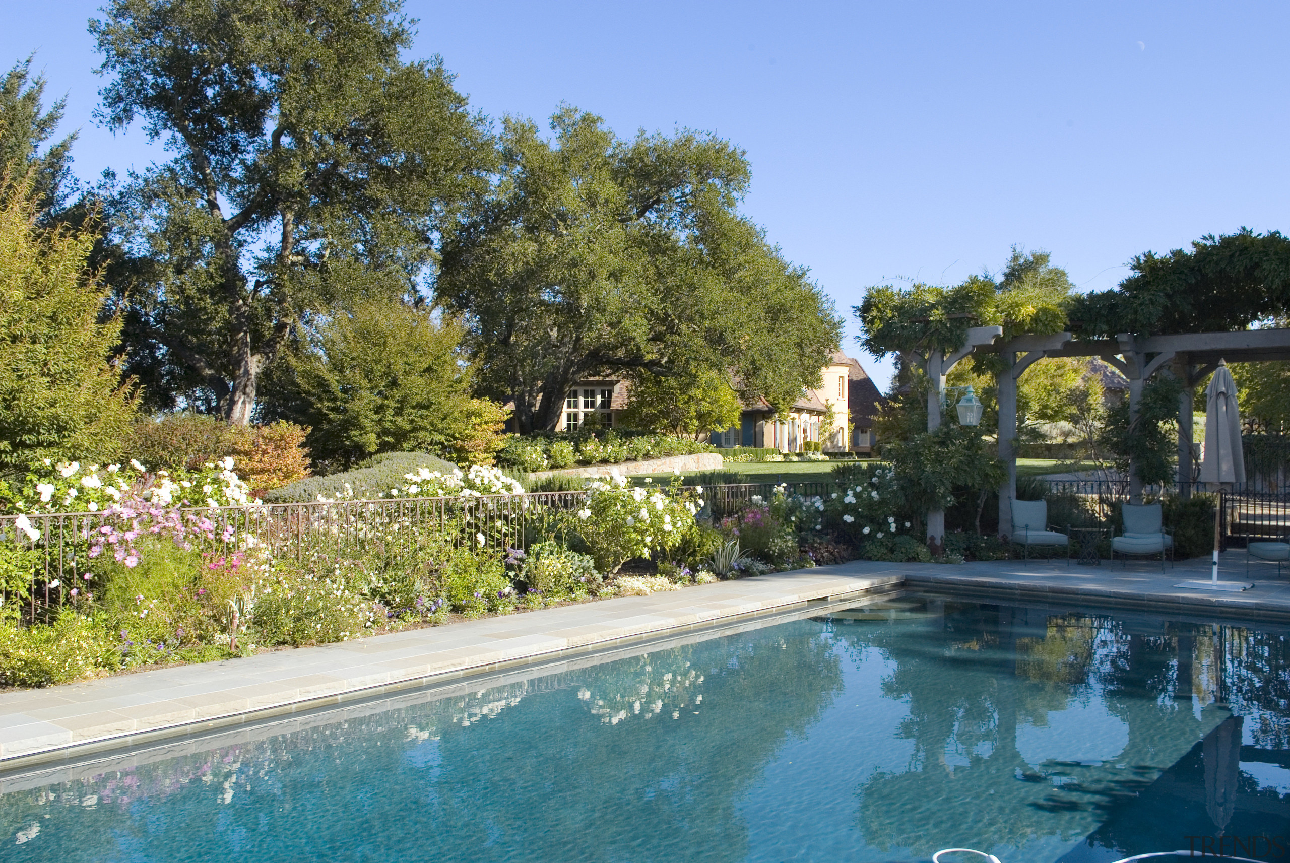 View of the pool. - View of the backyard, estate, garden, home, house, landscape, landscaping, leisure, property, real estate, resort, resort town, swimming pool, tree, villa, teal