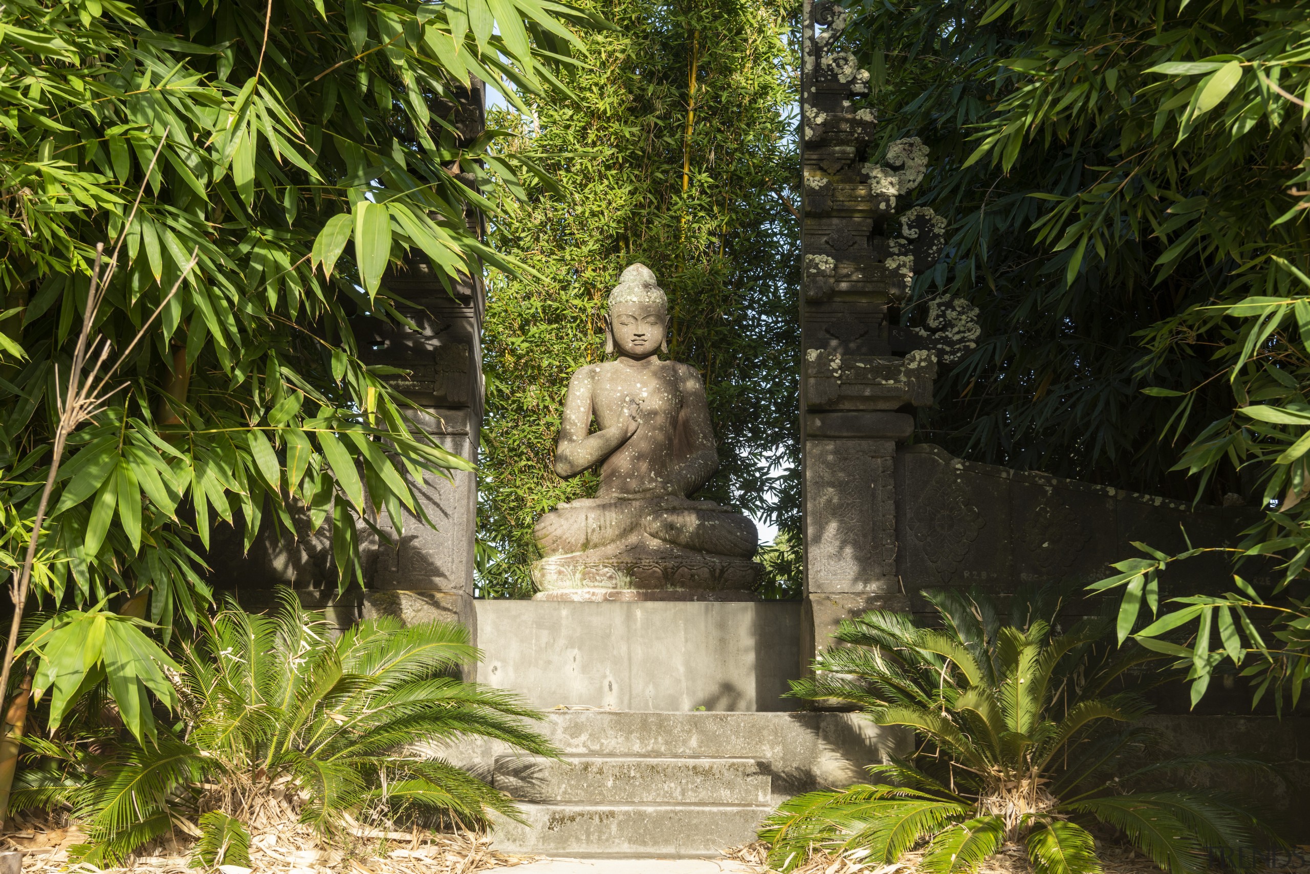 A buddha looks on. - Ancient aesthetic - 