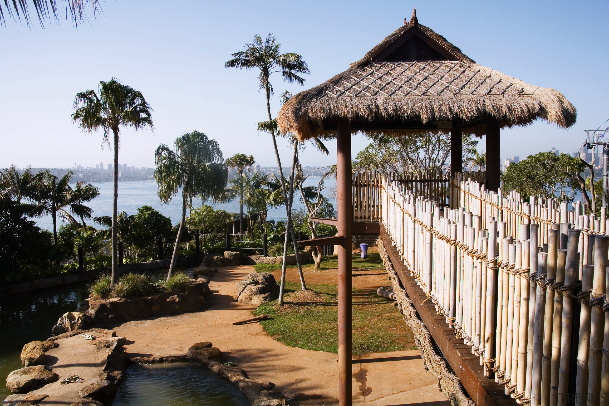 A view of the Asian elephant enclosure featuriing arecales, gazebo, leisure, outdoor structure, palm tree, resort, tree, white, black