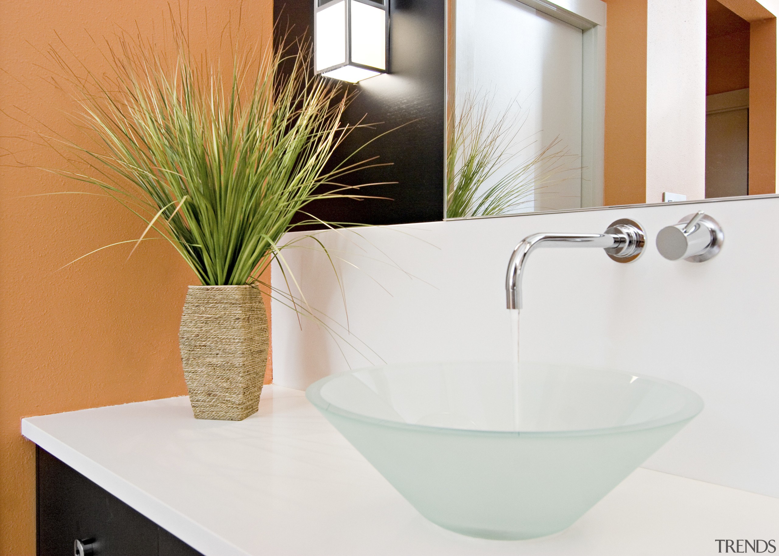 View of a bathroom which features mango-coloured walls, bathroom, ceramic, flowerpot, plumbing fixture, product design, sink, tap, white, orange