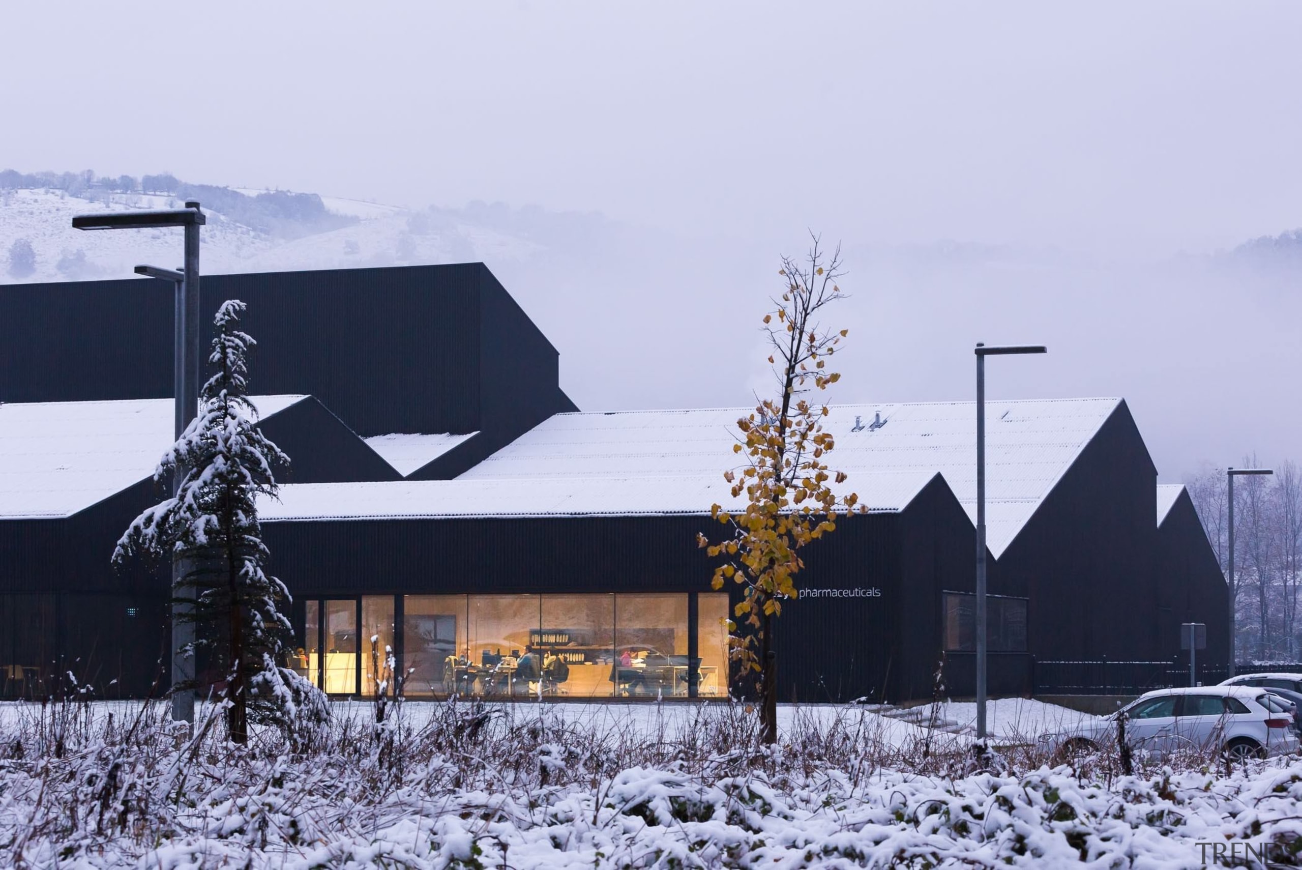 It cleverly blends into the landscape - It architecture, building, freezing, home, house, residential area, roof, sky, snow, tree, winter, teal, blue