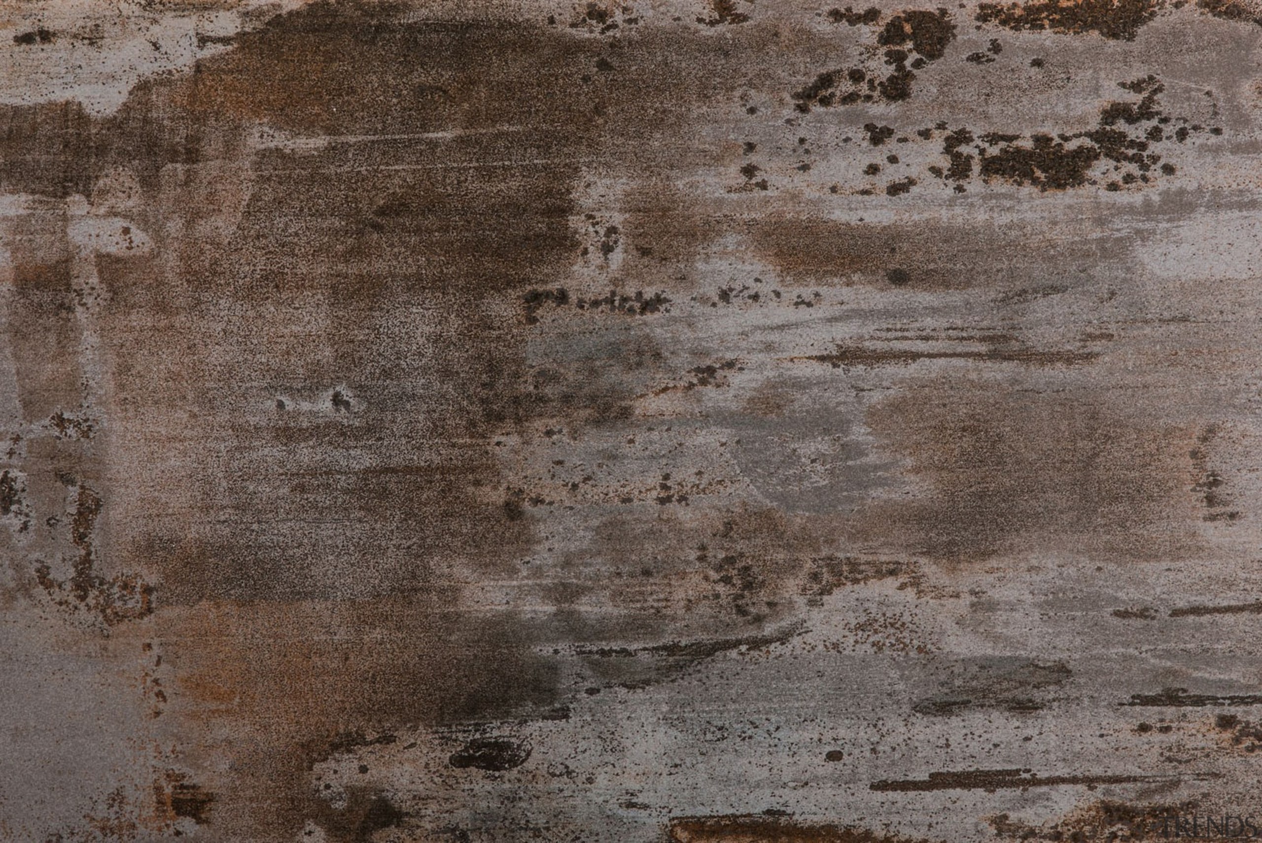 Trilium - Trilium - brown | soil | brown, soil, texture, wall, wood, gray, black