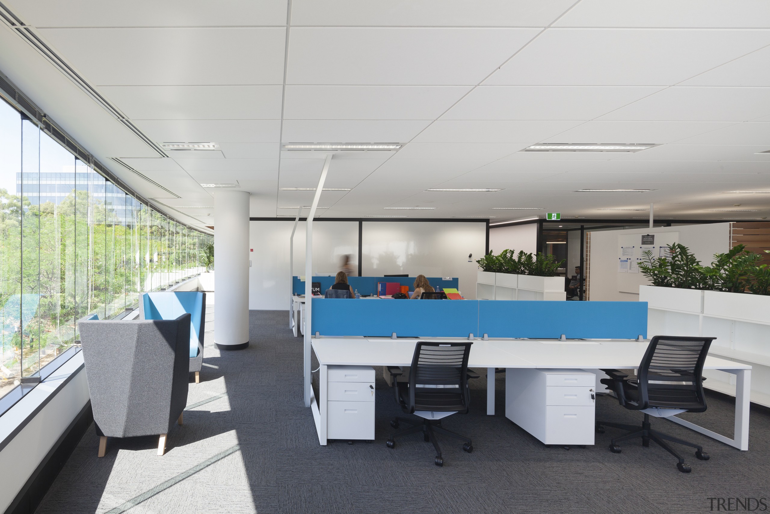 Workstation dividers add a splash of colour in architecture, interior design, office, real estate, table, gray