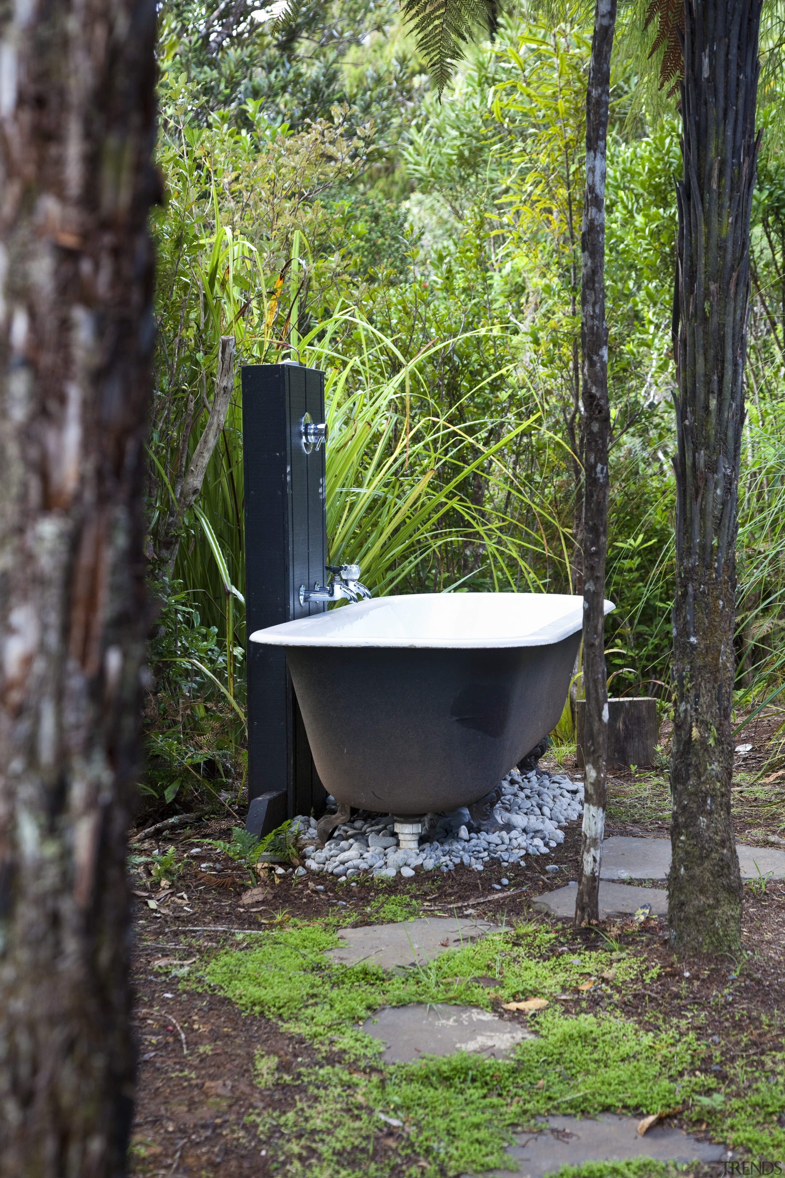 Designed by Chris Tate of Chris Tate Architecture, grass, plant, tree, black, green