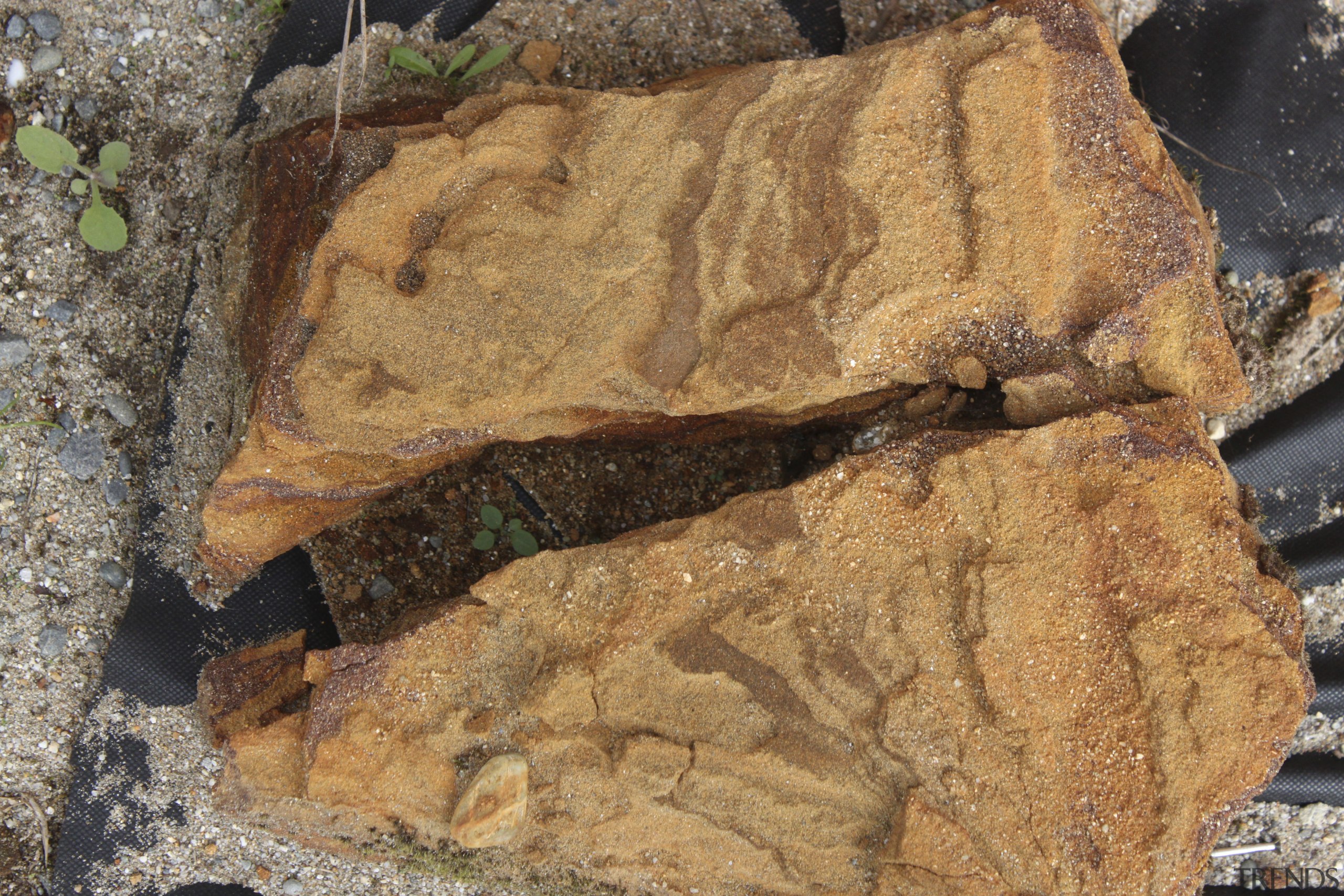 Resene provided the paints used for the exterior geology, rock, soil, brown, orange