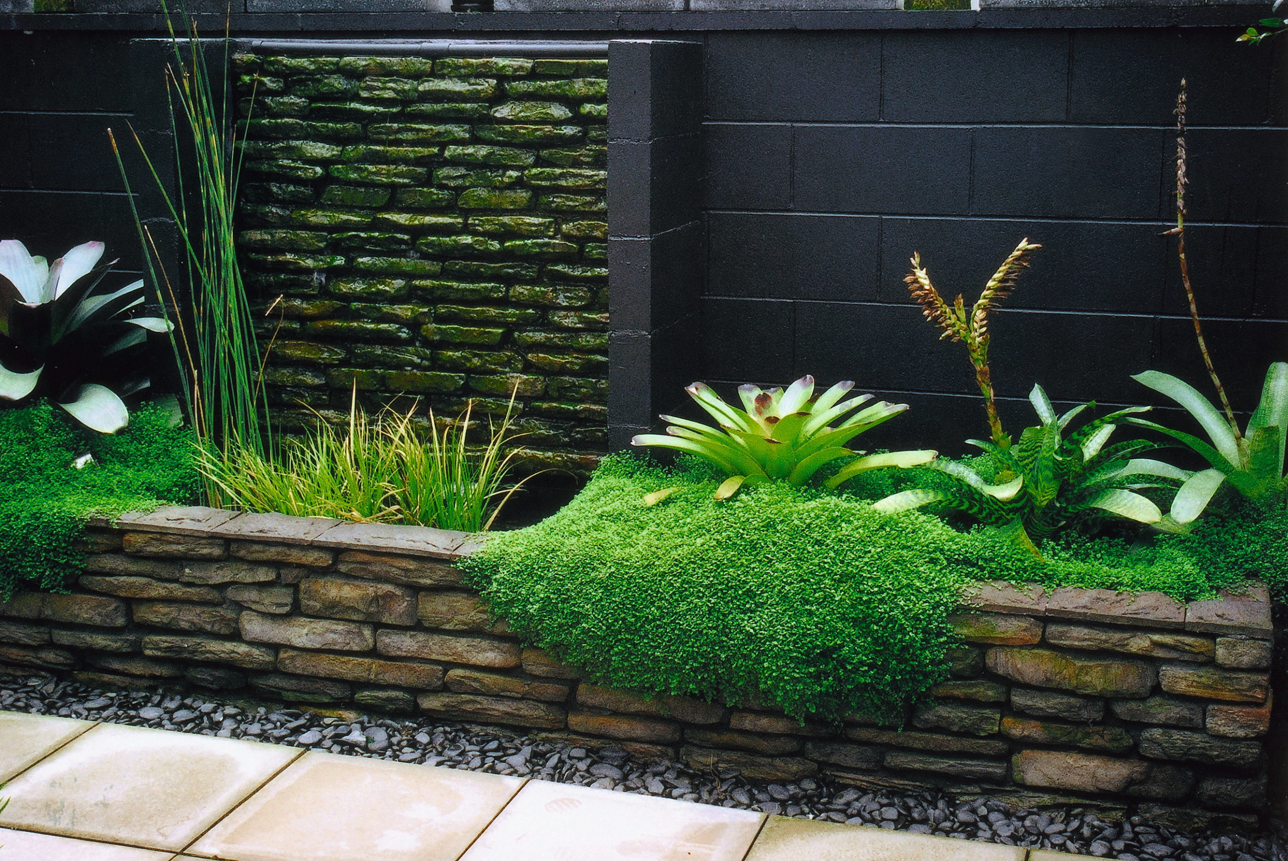 A view of this landascaped garden featuring moss aquatic plant, garden, grass, landscaping, plant, walkway, yard, black