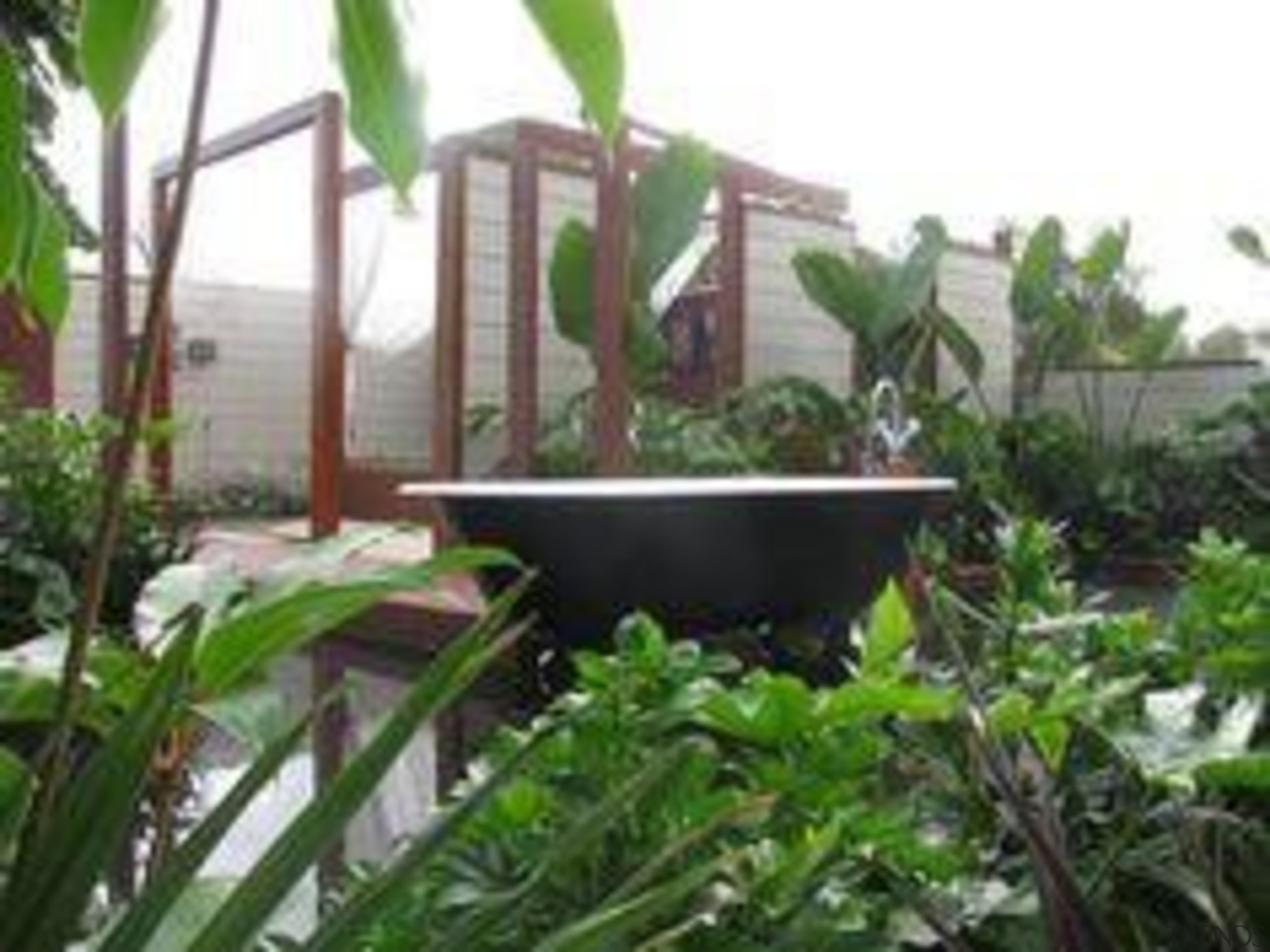 At Ellerslie International Flower Show - At Ellerslie herb, houseplant, plant, property, real estate, tree, green, white