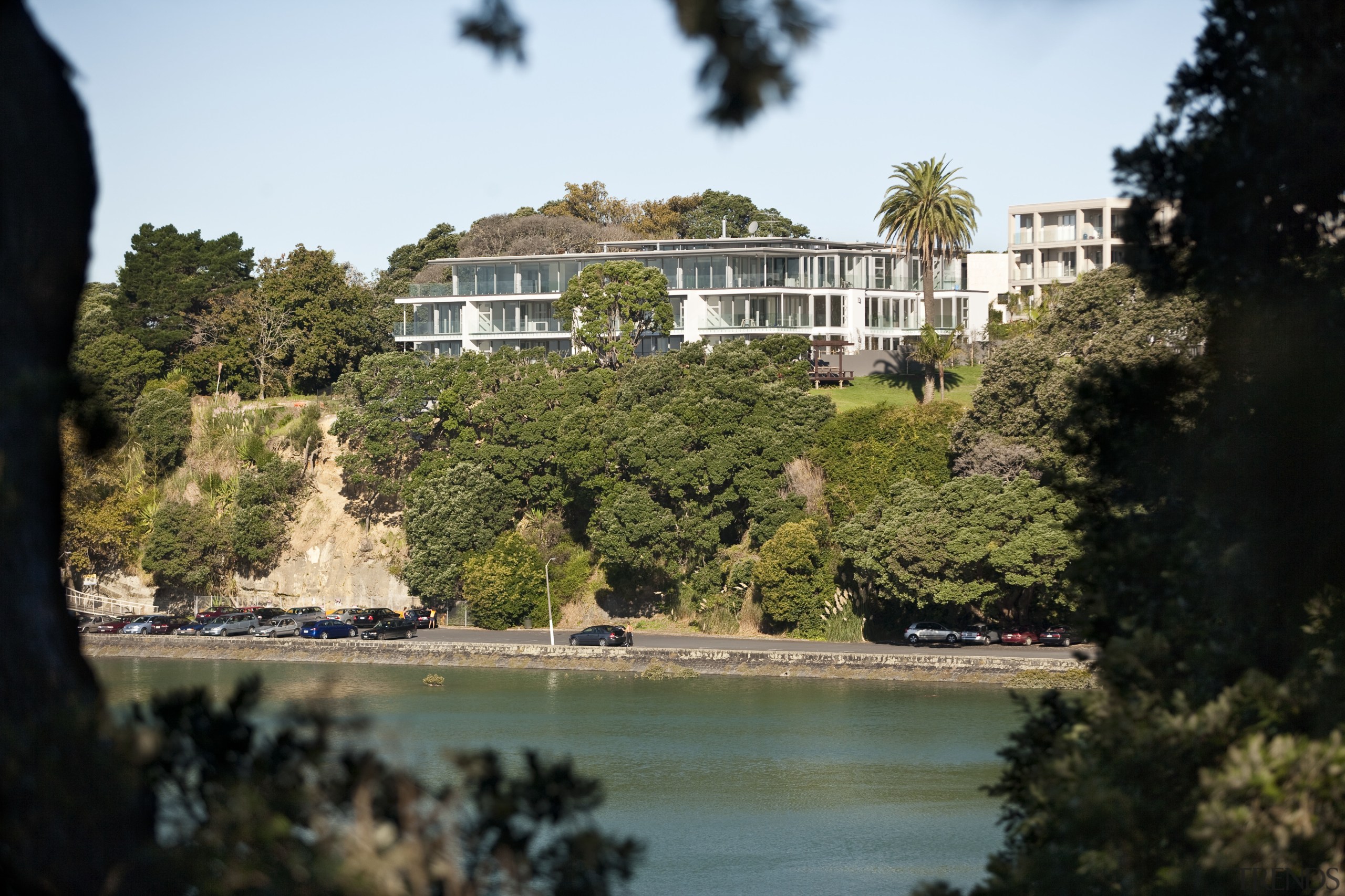 View of a large apartment development in Auckland estate, home, house, nature, plant, real estate, reflection, sky, tree, water, brown, black