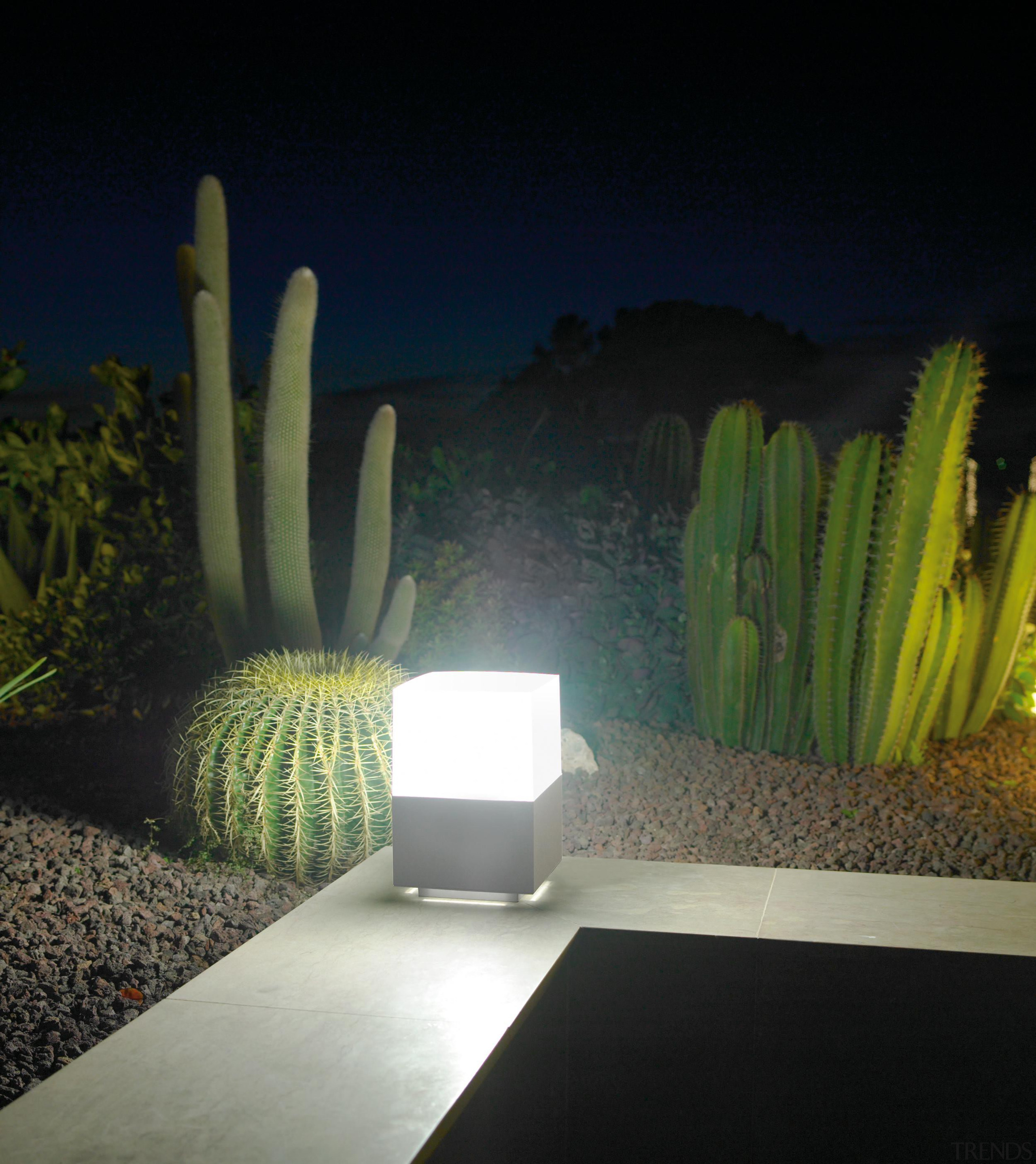 Exterior and Outdoor Lights - Exterior and Outdoor cactus, flowerpot, lighting, majorelle blue, plant, black