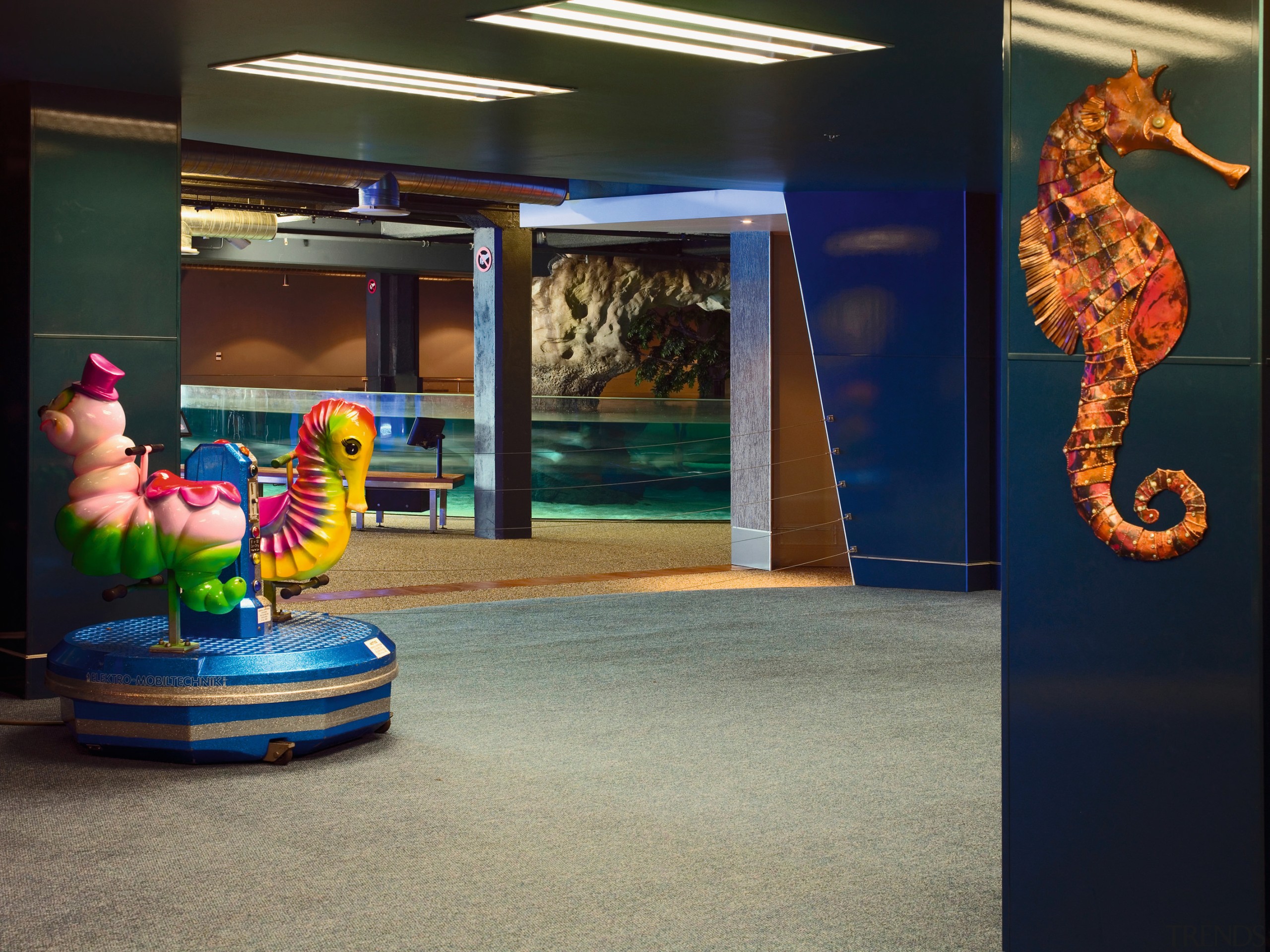 Open plan area at Kelly Tarlton with grey art, tourist attraction, black, gray