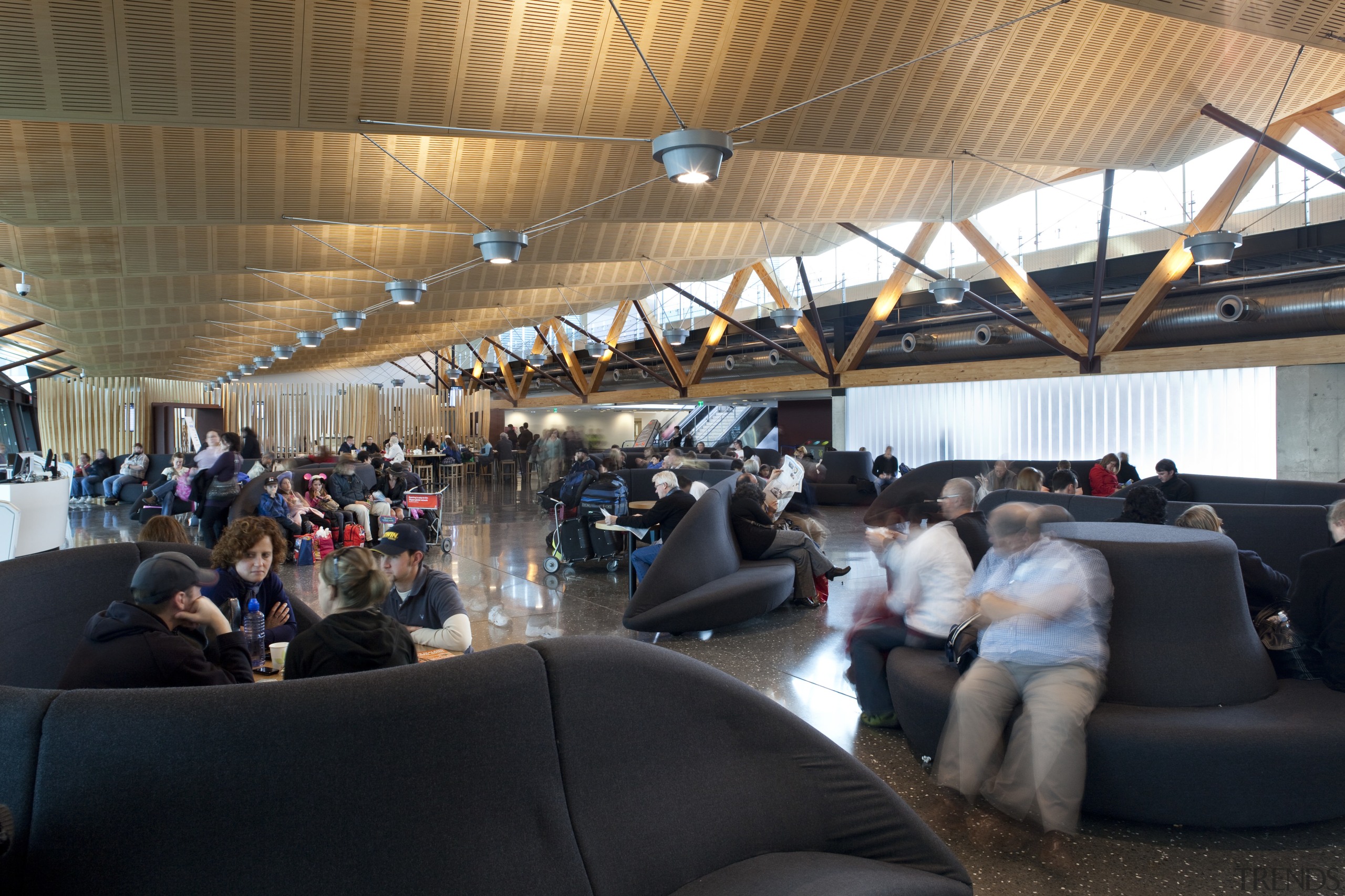 View of the interior of Christchurch Airport. Organic passenger, structure, black