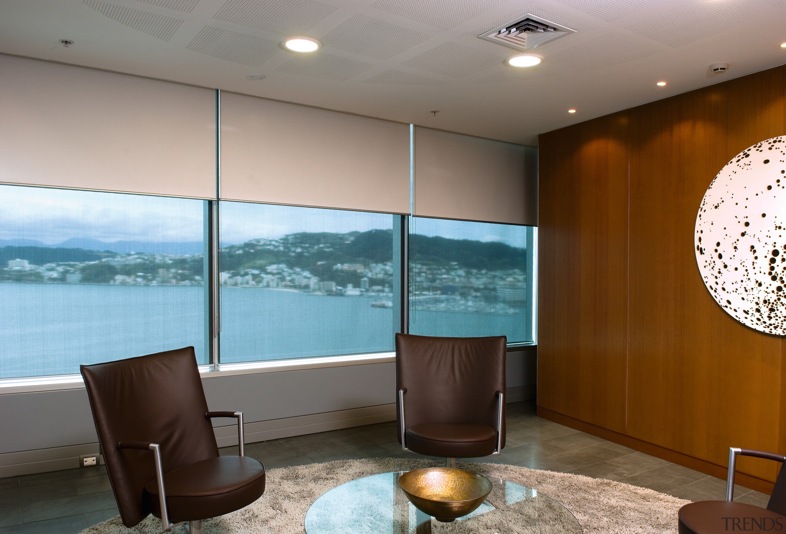A view extrafloke blackout blinds used in office architecture, ceiling, interior design, lobby, real estate, wall, window, gray, brown