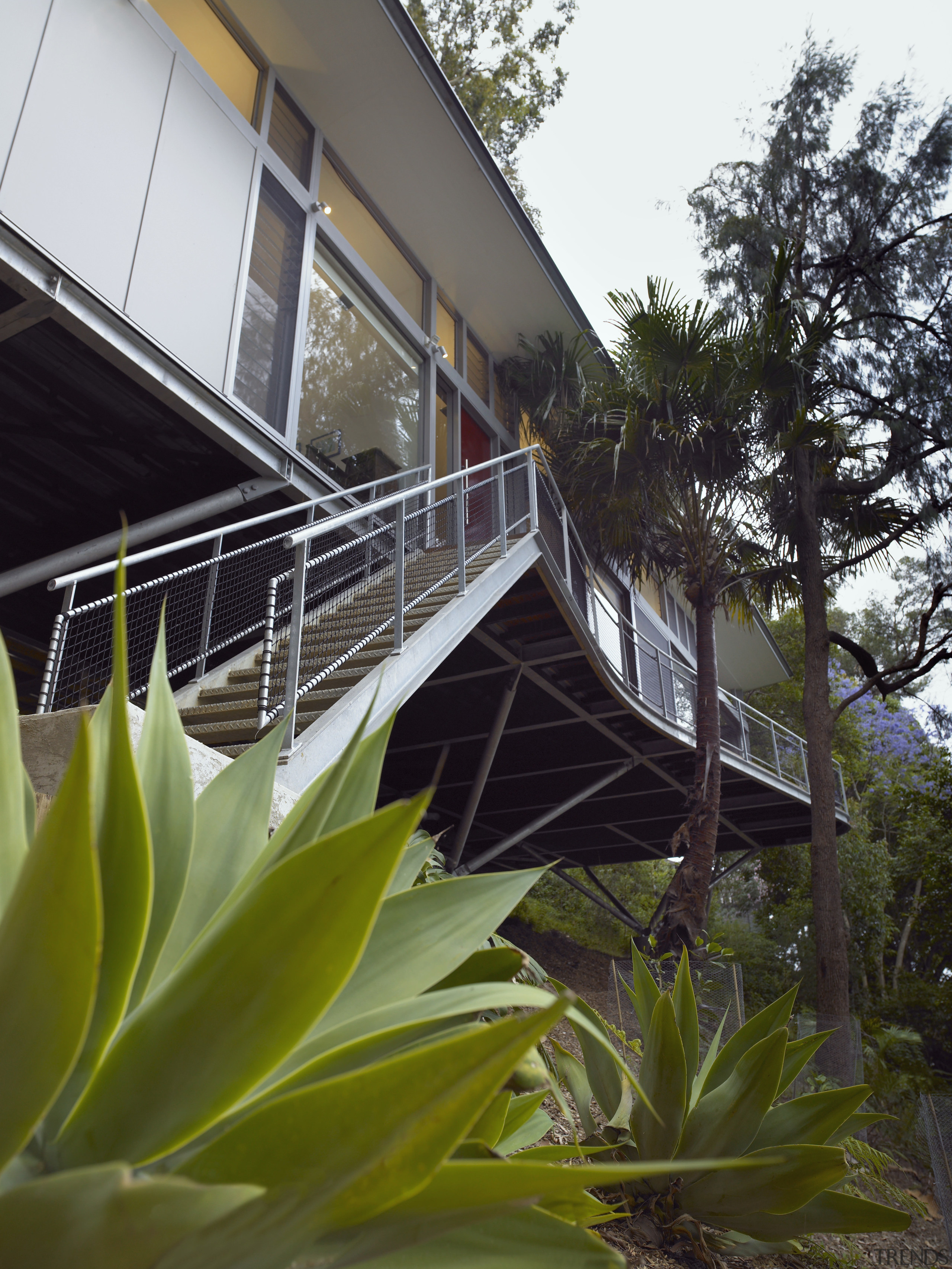 This modern tree house is set in the architecture, flora, home, house, leaf, plant, tree, brown, black