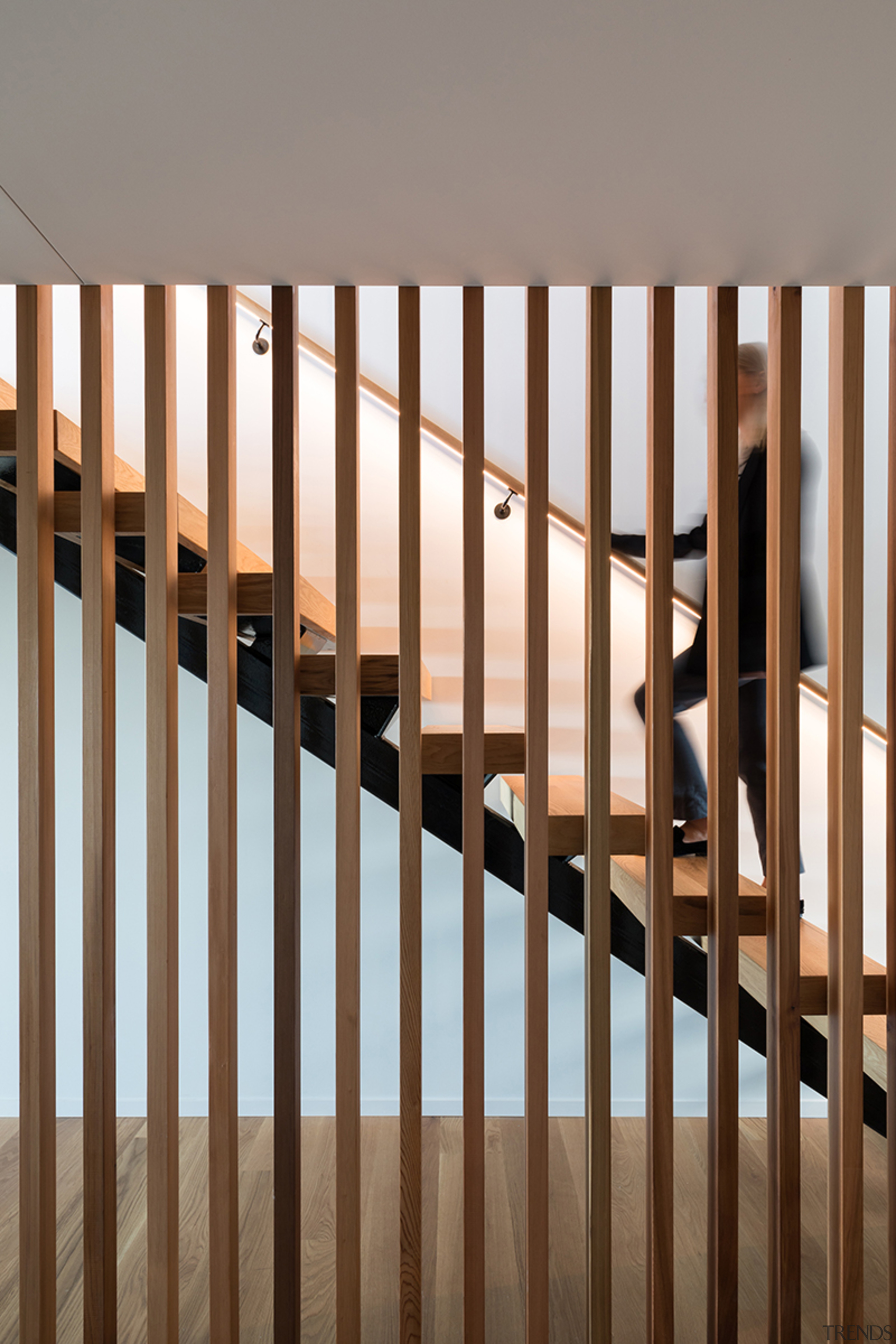 Stepping into nature – several wood species were brown