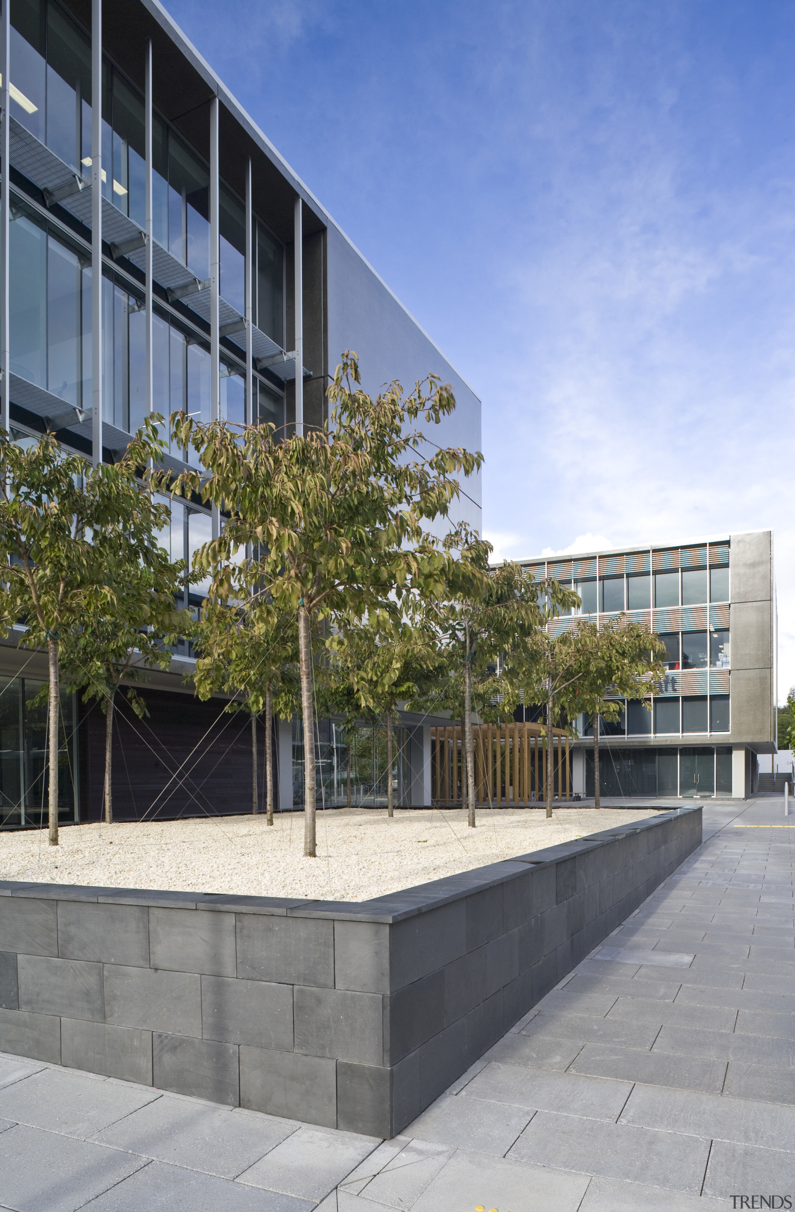 view of a planter box at Carlaw Park apartment, architecture, building, campus, commercial building, condominium, corporate headquarters, daytime, facade, headquarters, mixed use, neighbourhood, real estate, residential area, urban design, walkway, gray