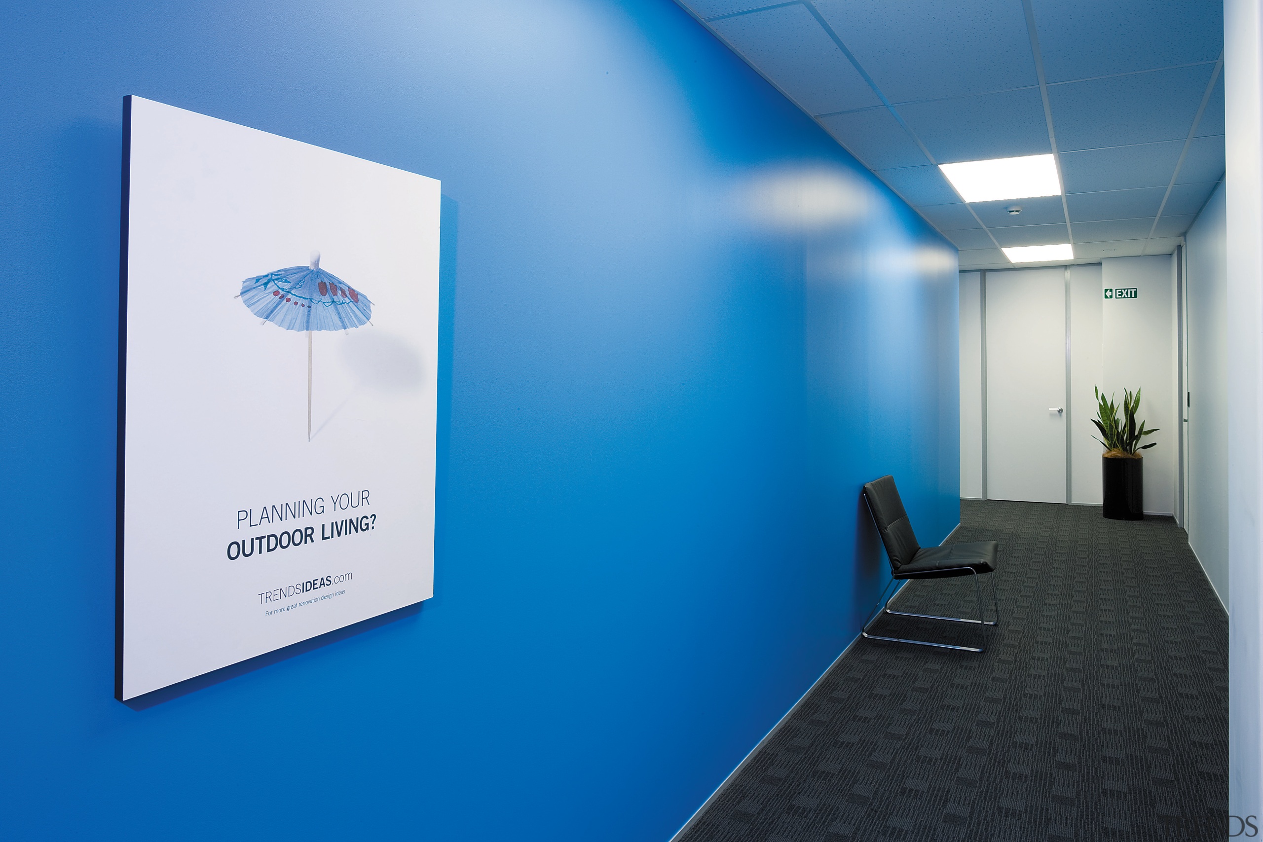 view of the treds office featuring blue featuring, blue, product design, blue, teal