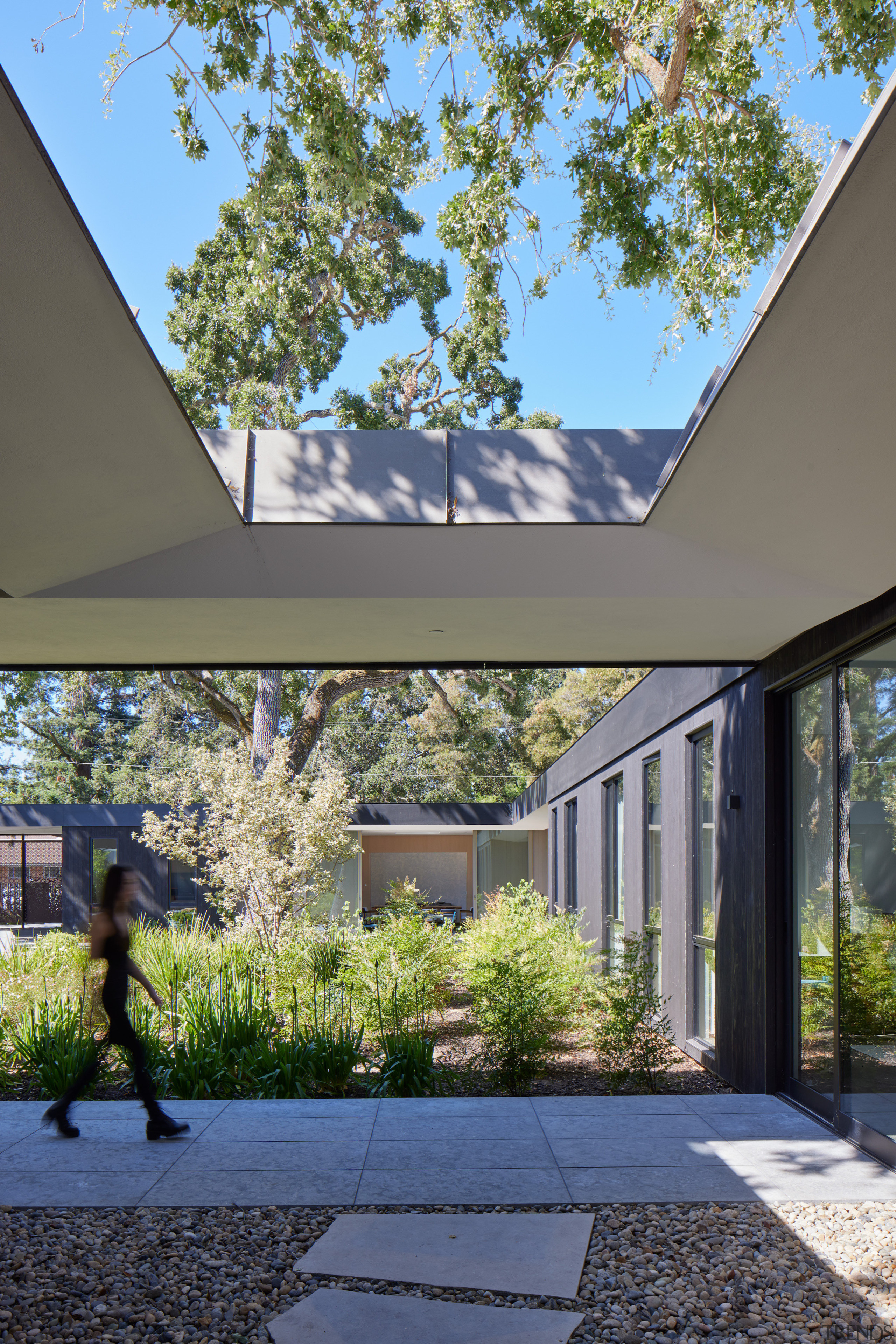 The house engages with nature at every turn. 