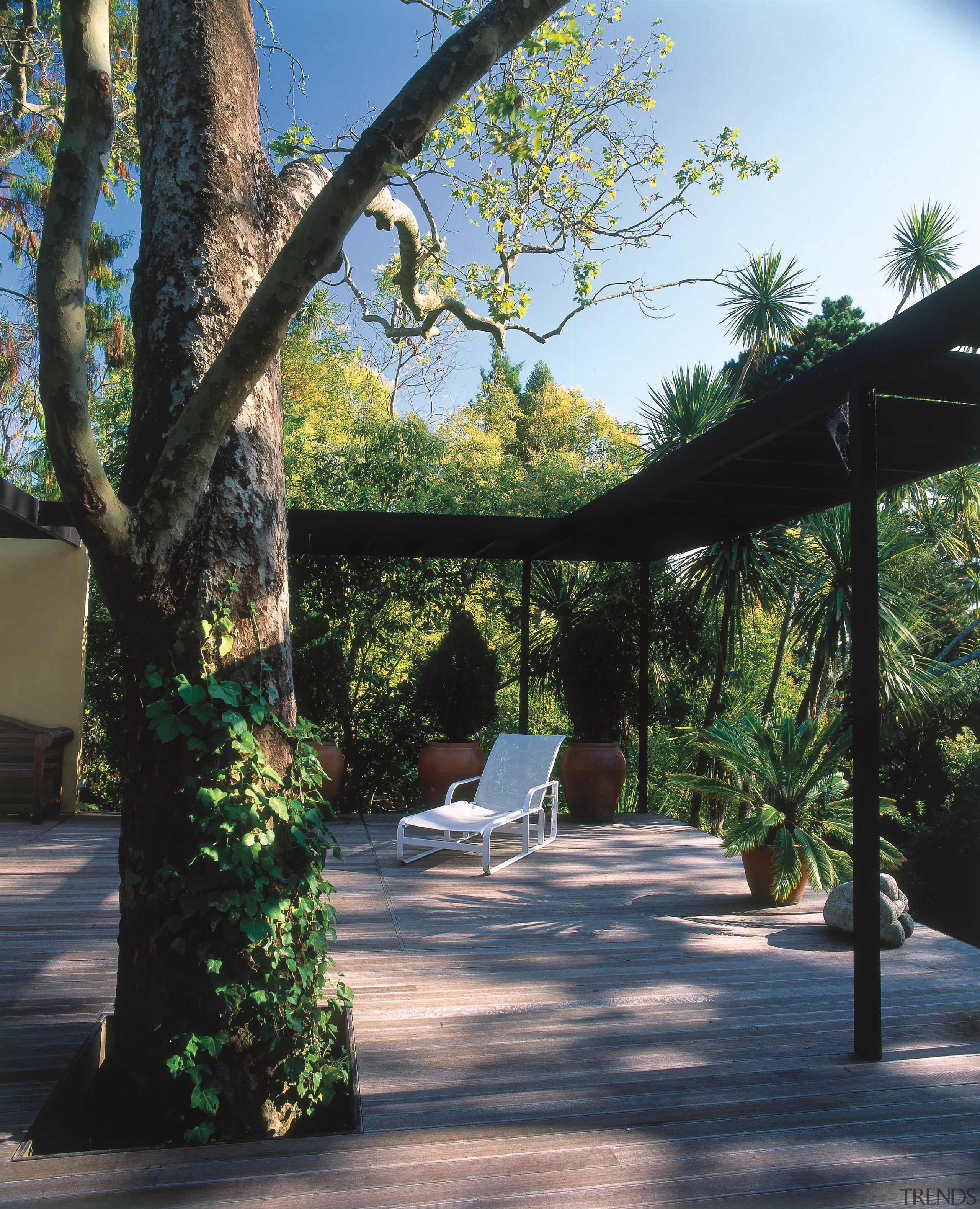 An exterior view of this home designed by architecture, backyard, courtyard, estate, house, landscape, landscaping, outdoor structure, plant, property, real estate, sunlight, tree, walkway, black