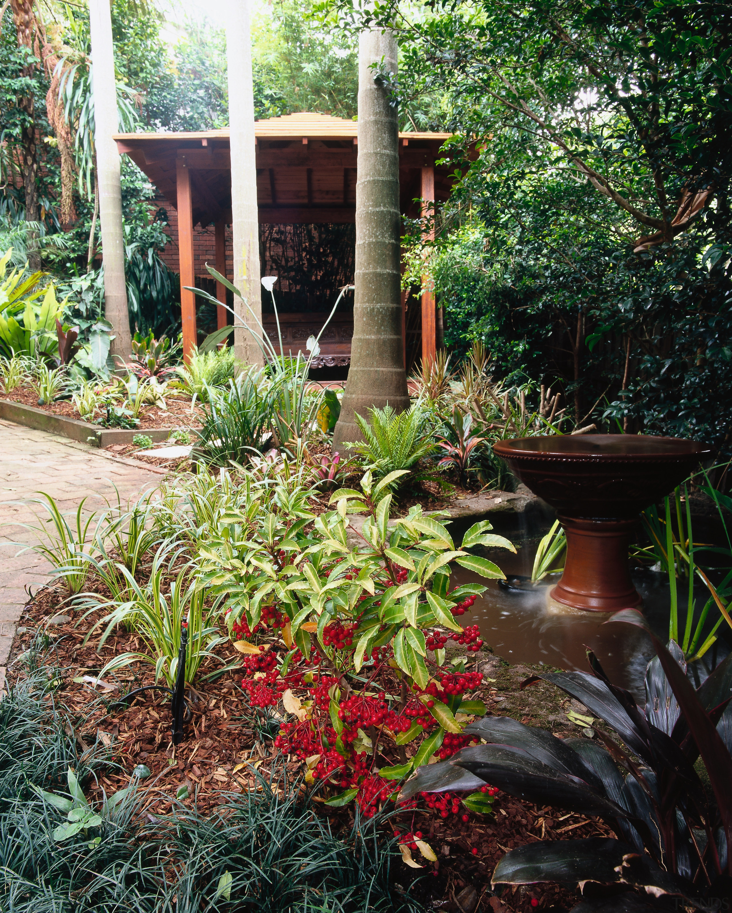 At the end of the paved pathway is backyard, flora, flower, garden, landscape, landscaping, leaf, outdoor structure, plant, shrub, tree, yard, black