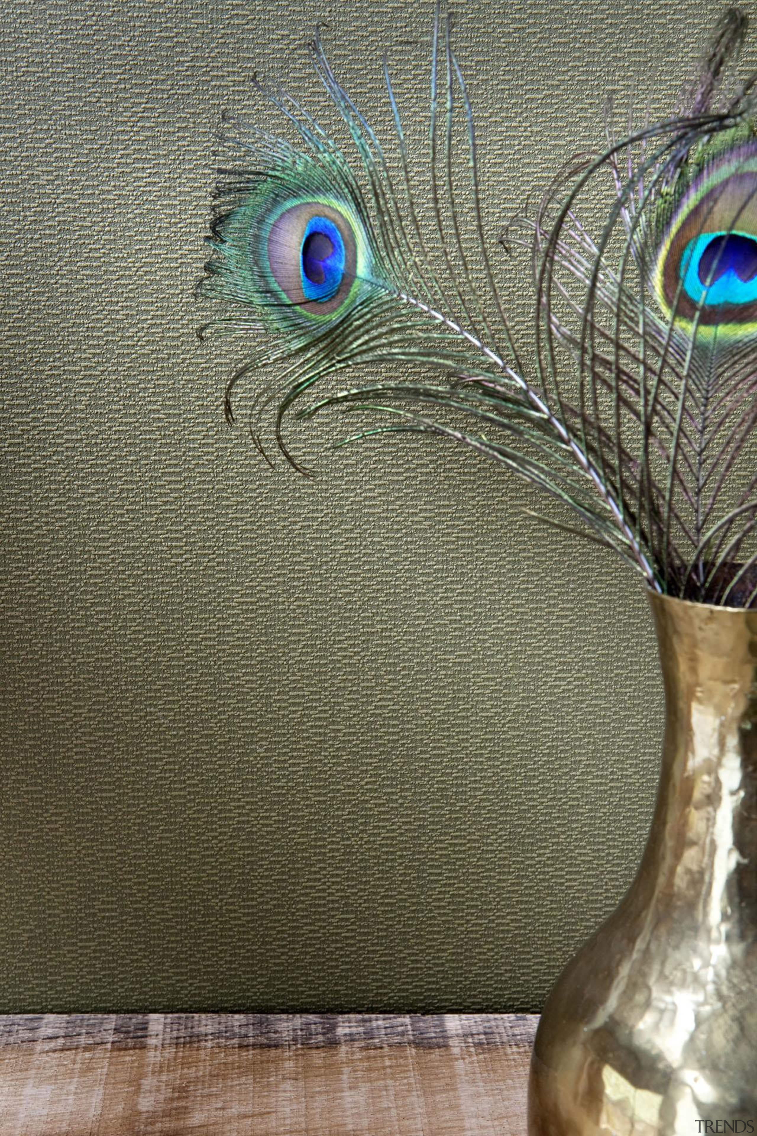 Chacran Range - Chacran Range - feather | feather, gray, brown