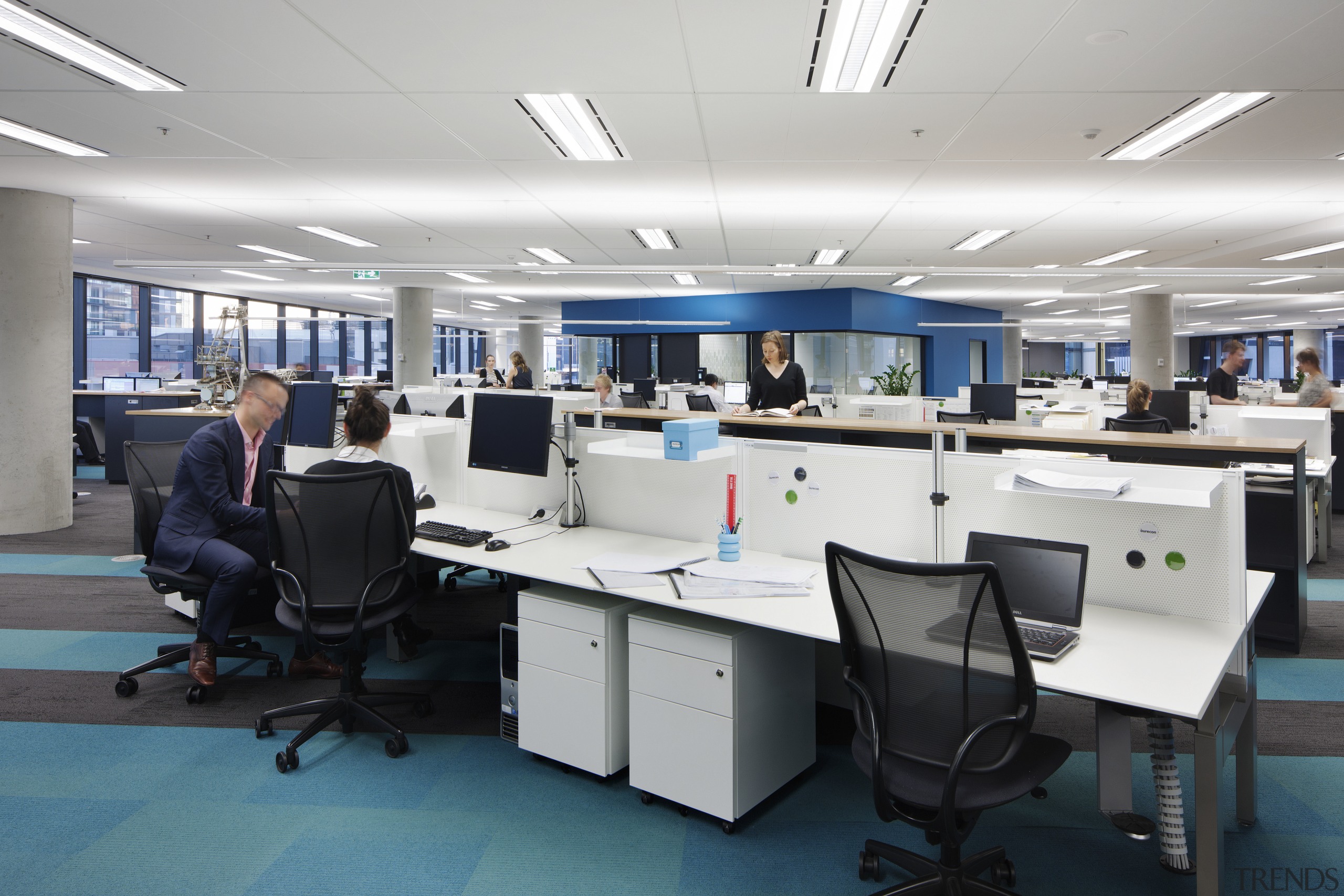 Schiavello workstations and chairs feature throughout the new institution, office, gray