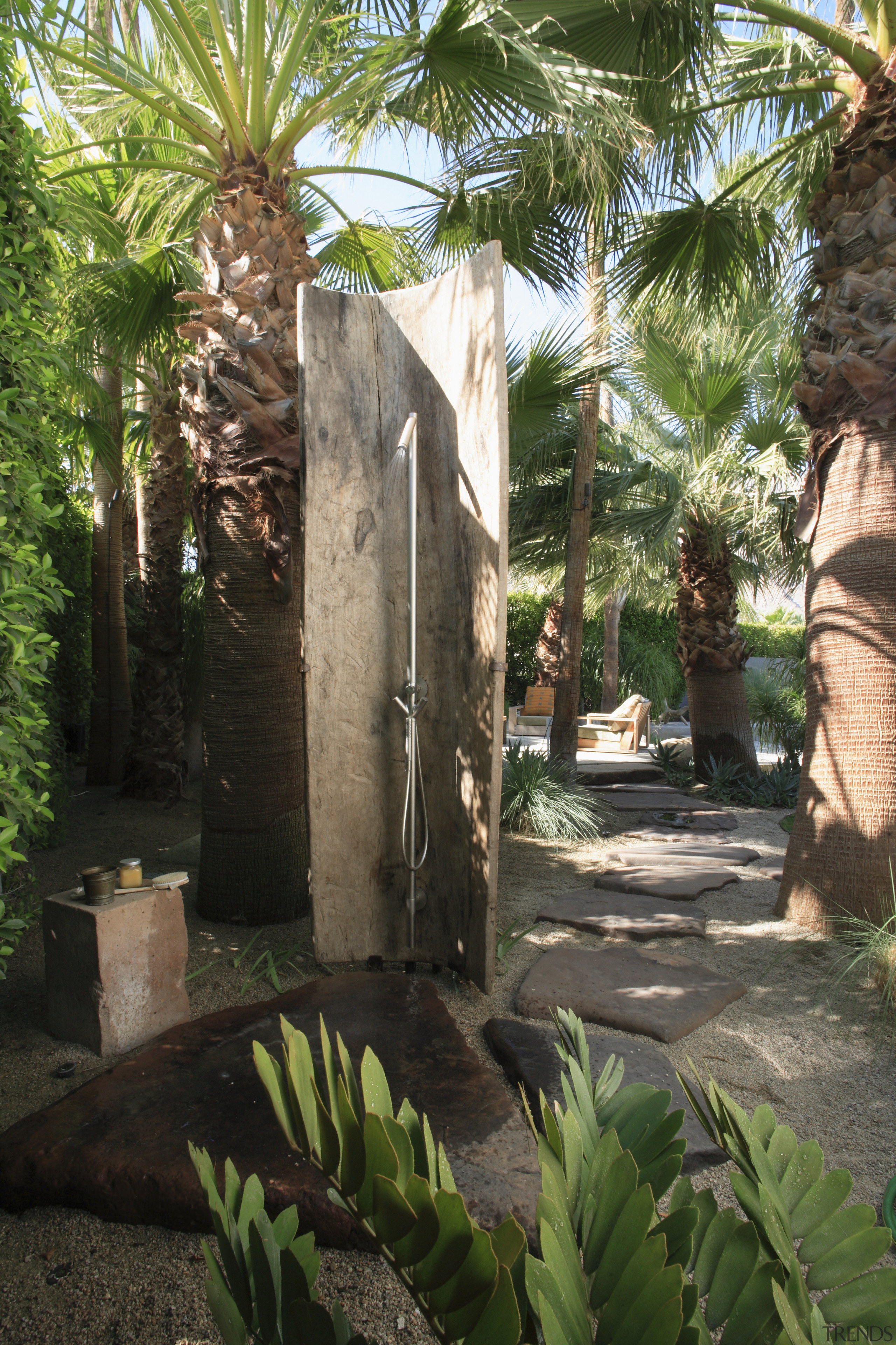 The outdoor shower is under a palm tree. arecales, backyard, courtyard, garden, hacienda, landscape, landscaping, outdoor structure, palm tree, plant, property, real estate, tree, yard