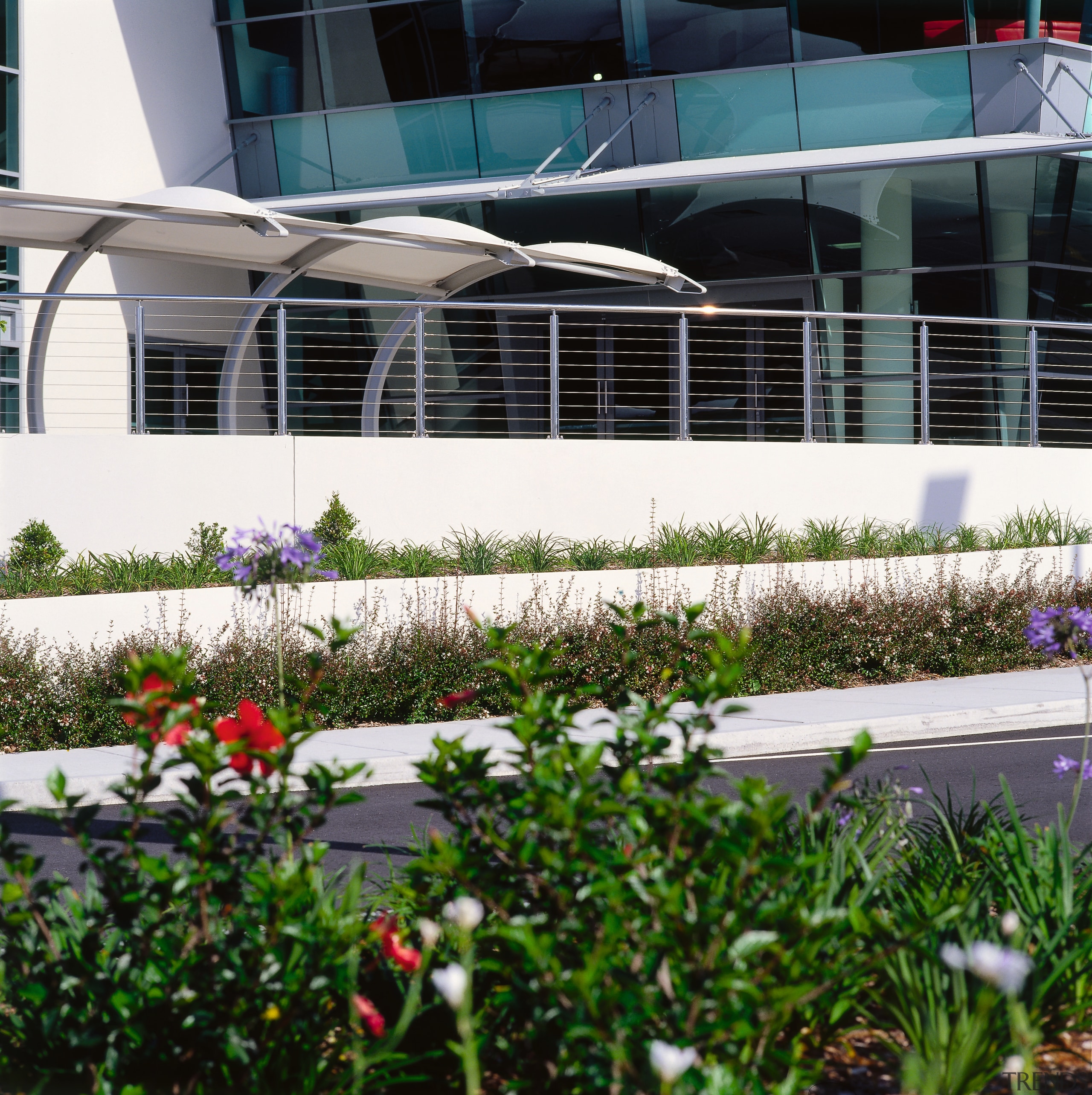 Gardens in front of building complex, with white garden, house, outdoor structure, plant, real estate, window