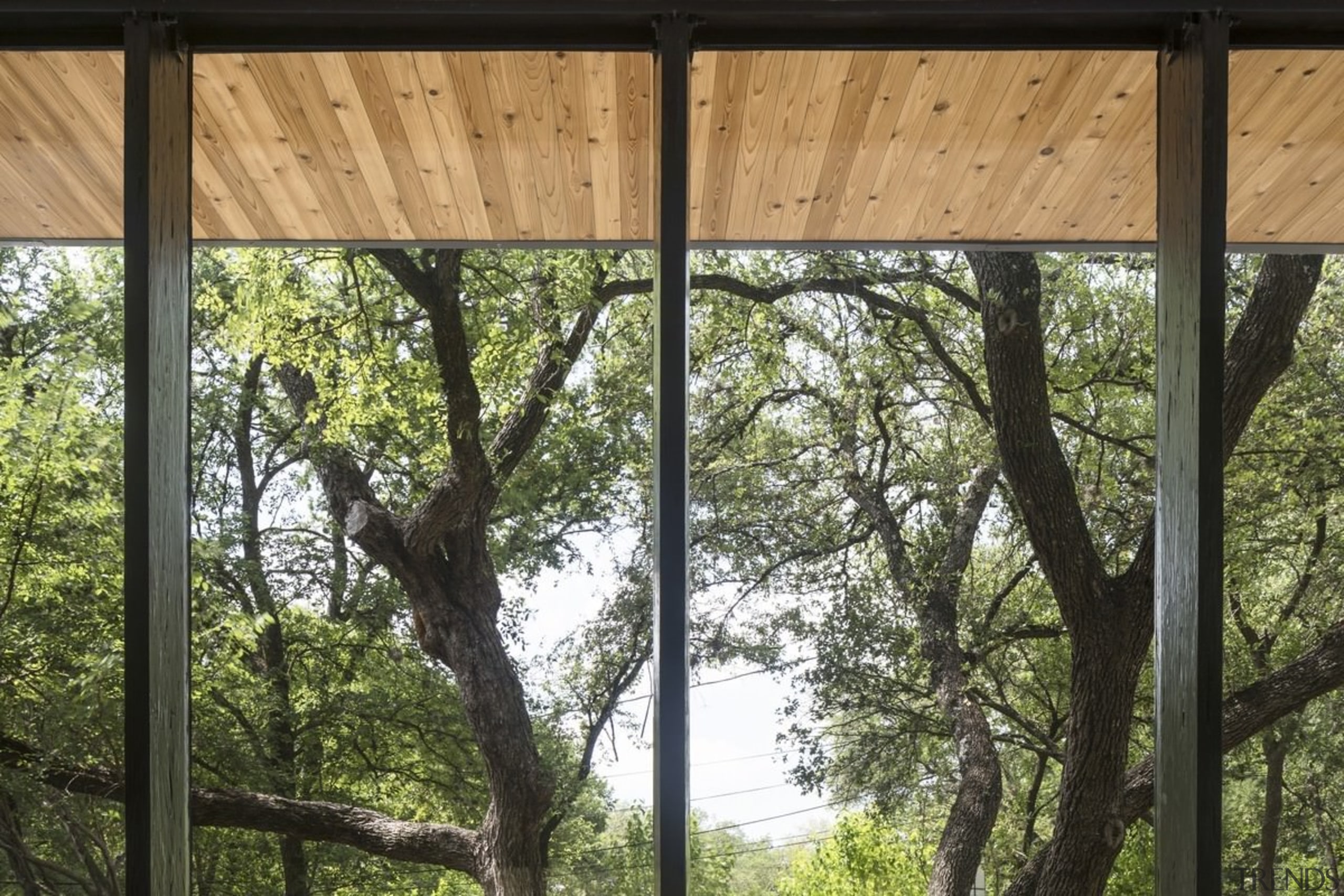 Another view of the wood-lined soffit - Another house, outdoor structure, plant, tree, window, wood, brown, black