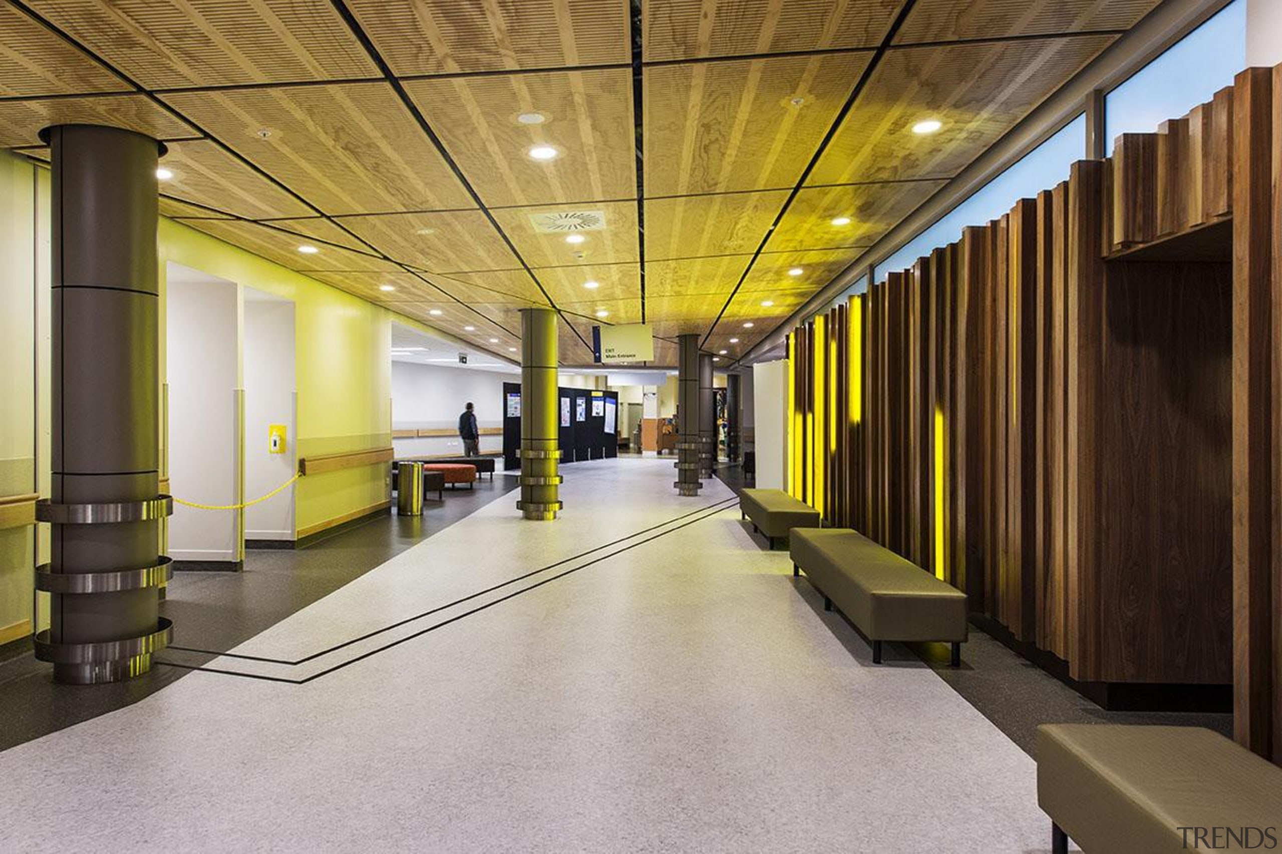 EXCELLENCE AWARDThe Clinical Services Building Middlemore Hospital (2 architecture, ceiling, interior design, lobby, brown, gray