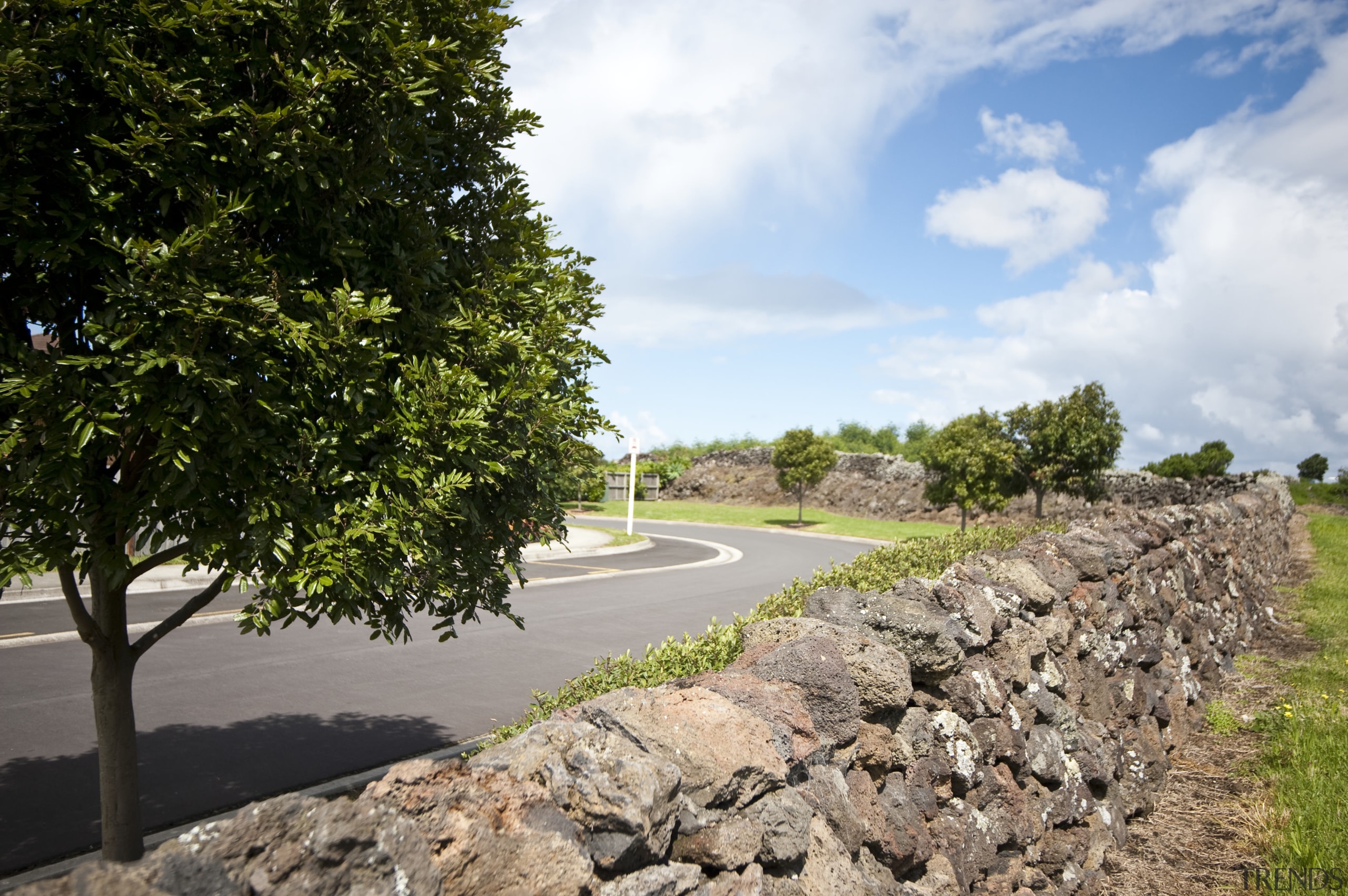 View of Mt Wellington stone walls. - View cloud, field, grass, landscape, plant, road, rural area, sky, tree, vegetation, brown