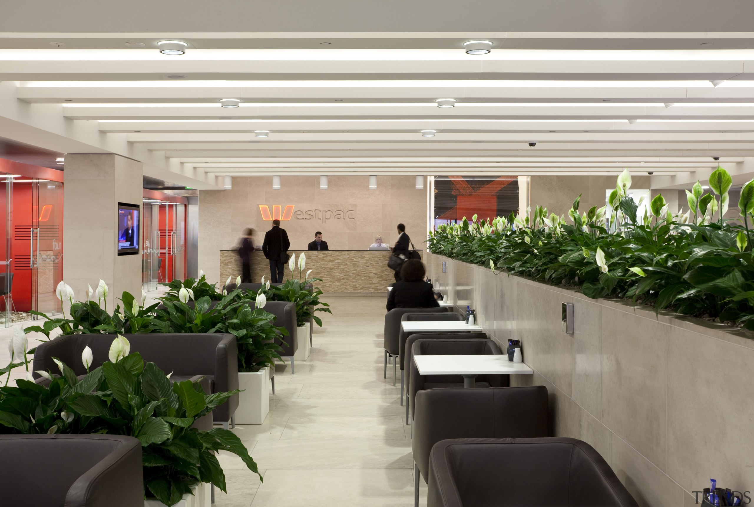 View of seating area with Inscape plants. - conference hall, interior design, lobby, gray