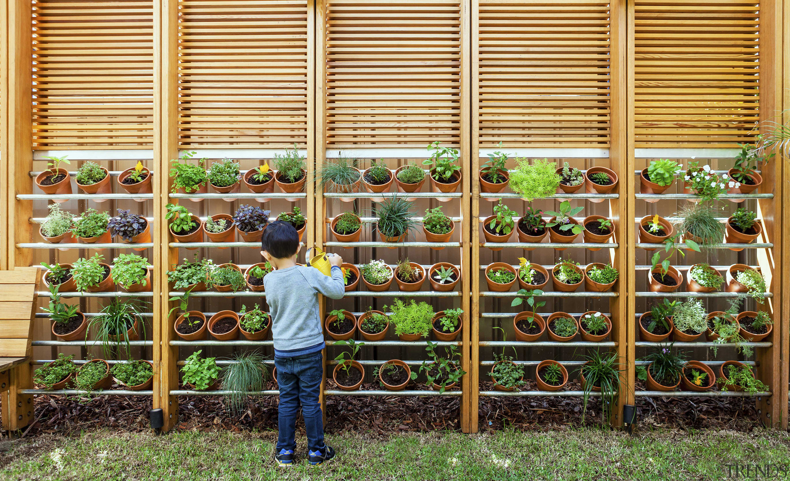 Located on the grassed area of the indoor-outdoor fence, grass, outdoor structure, plant, tree, brown, orange