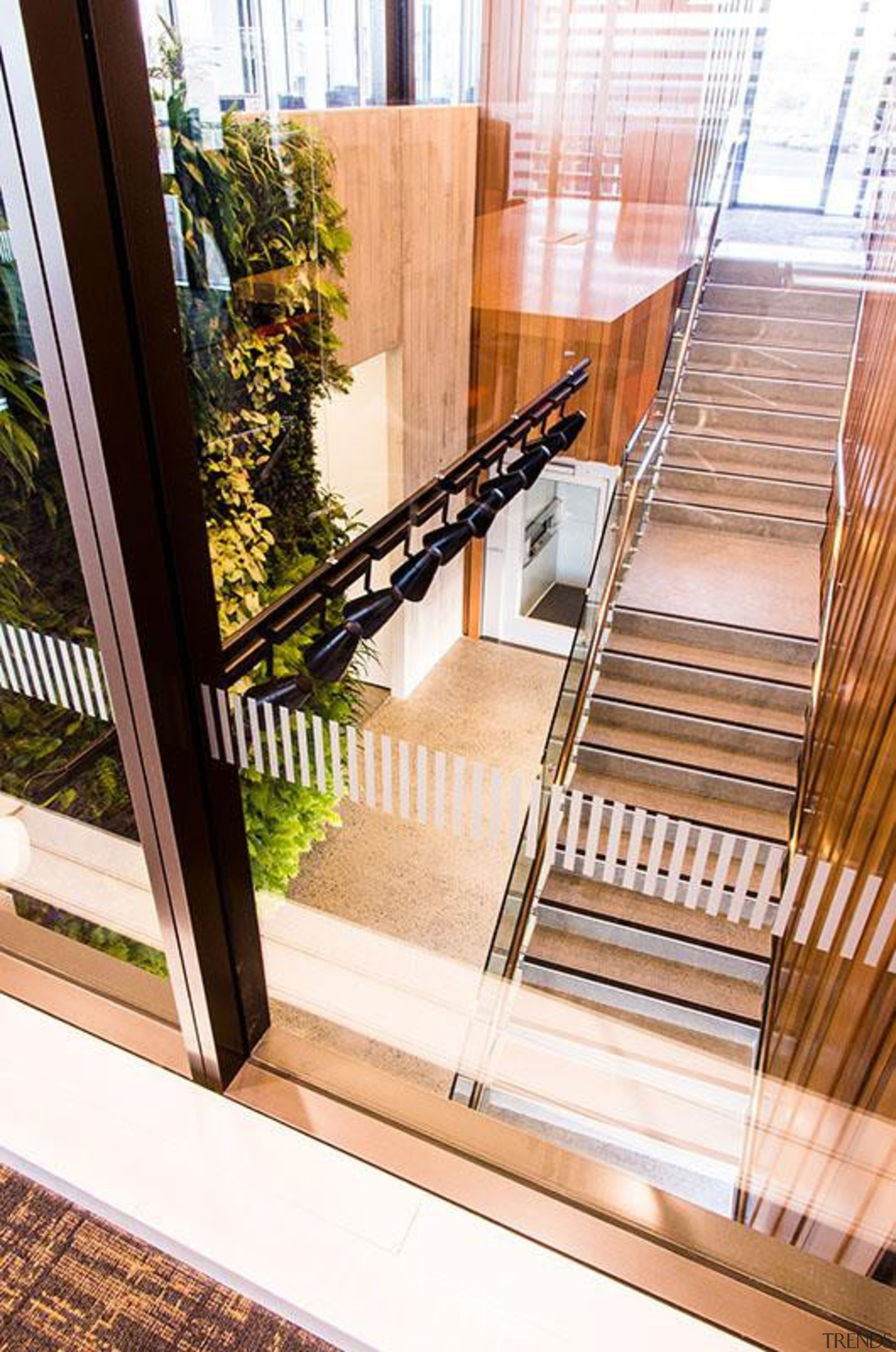 BEST IN CATEGORYCeres Organics (3 of 4) - architecture, daylighting, deck, floor, flooring, glass, handrail, hardwood, house, stairs, window, wood, white