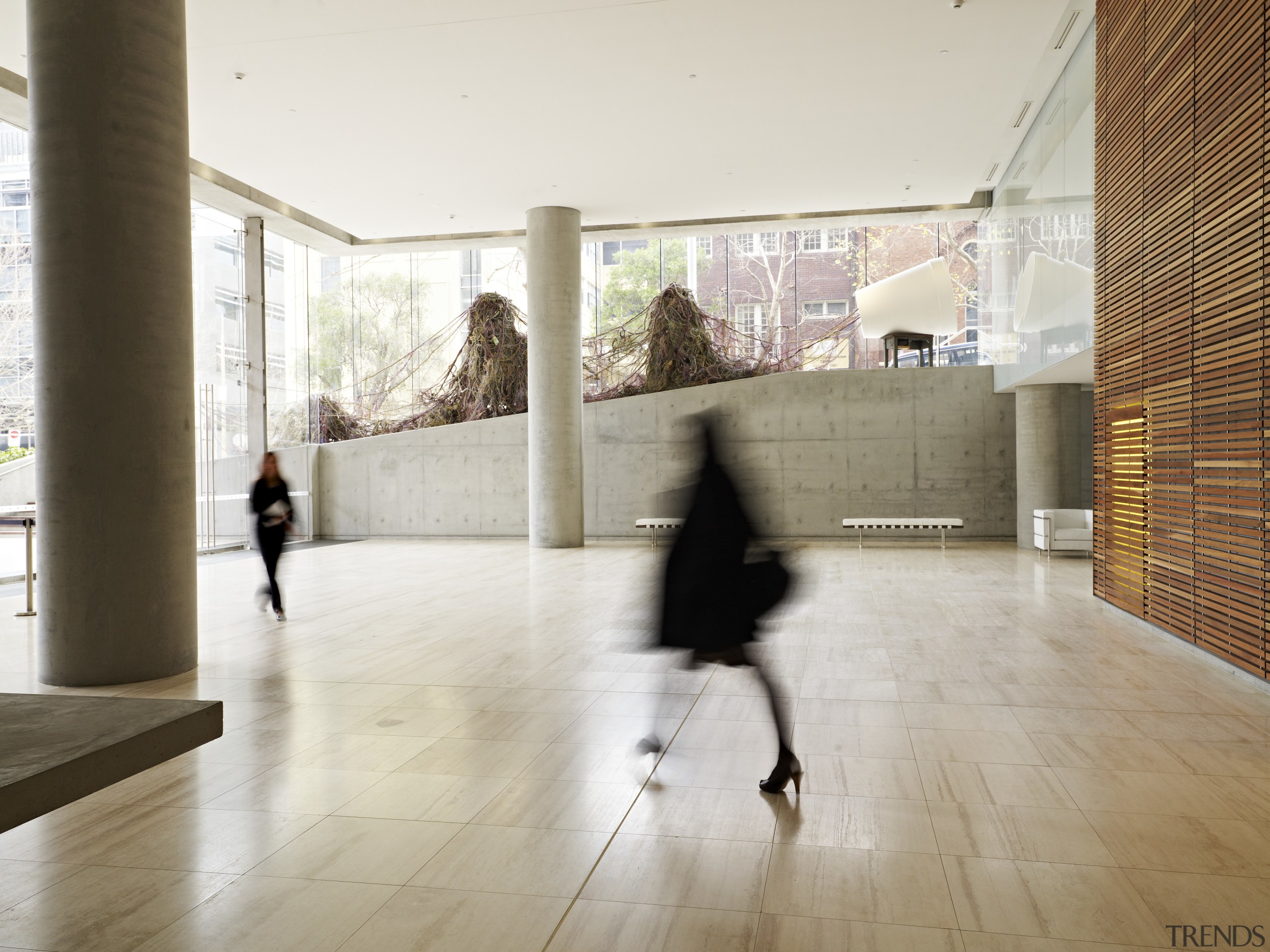 Ark North Sydney, NSW. Architect: Rice Daubney - architecture, daylighting, floor, flooring, interior design, lobby, tourist attraction, window, wood, white, brown