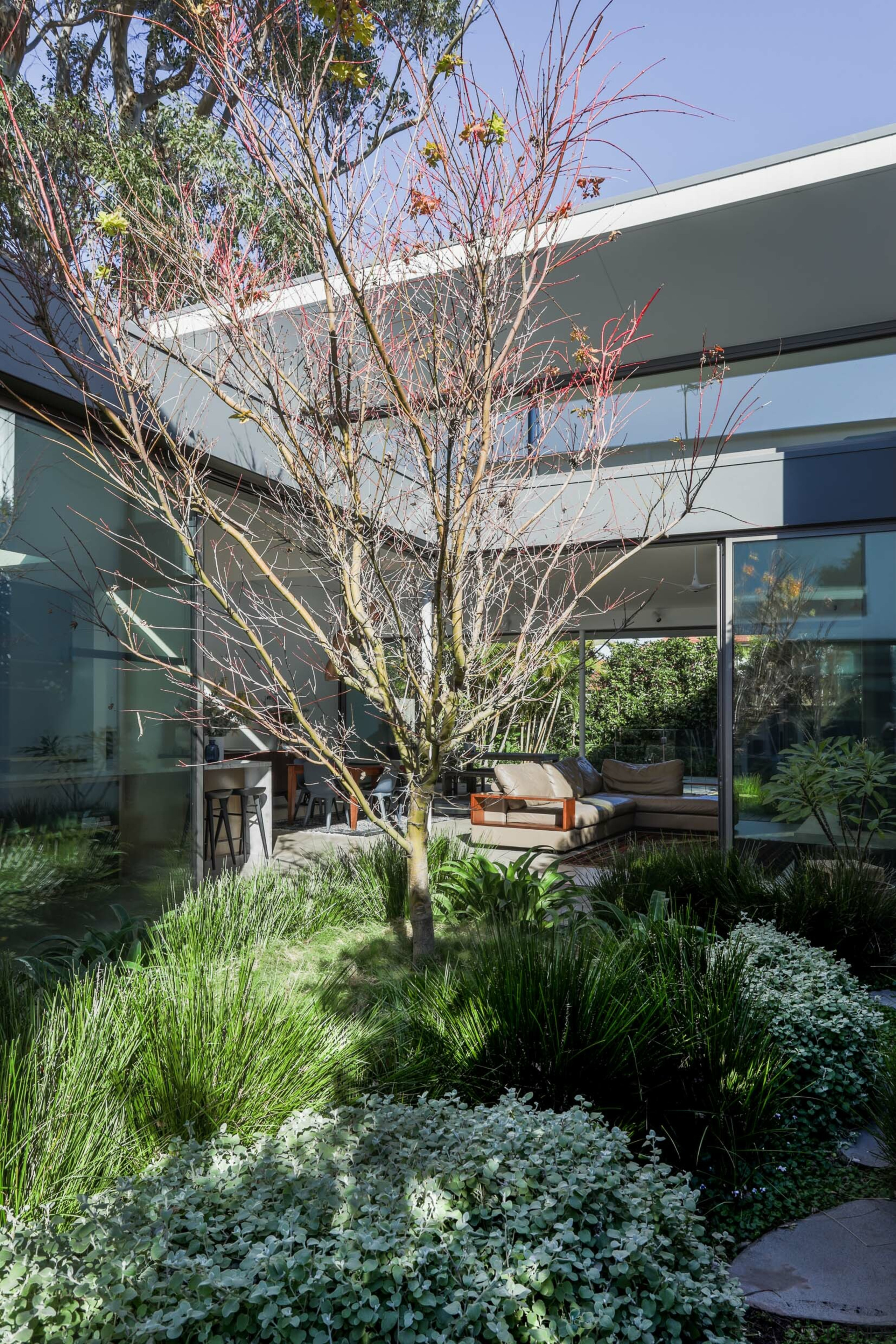 Looking from the courtyard garden through the home 