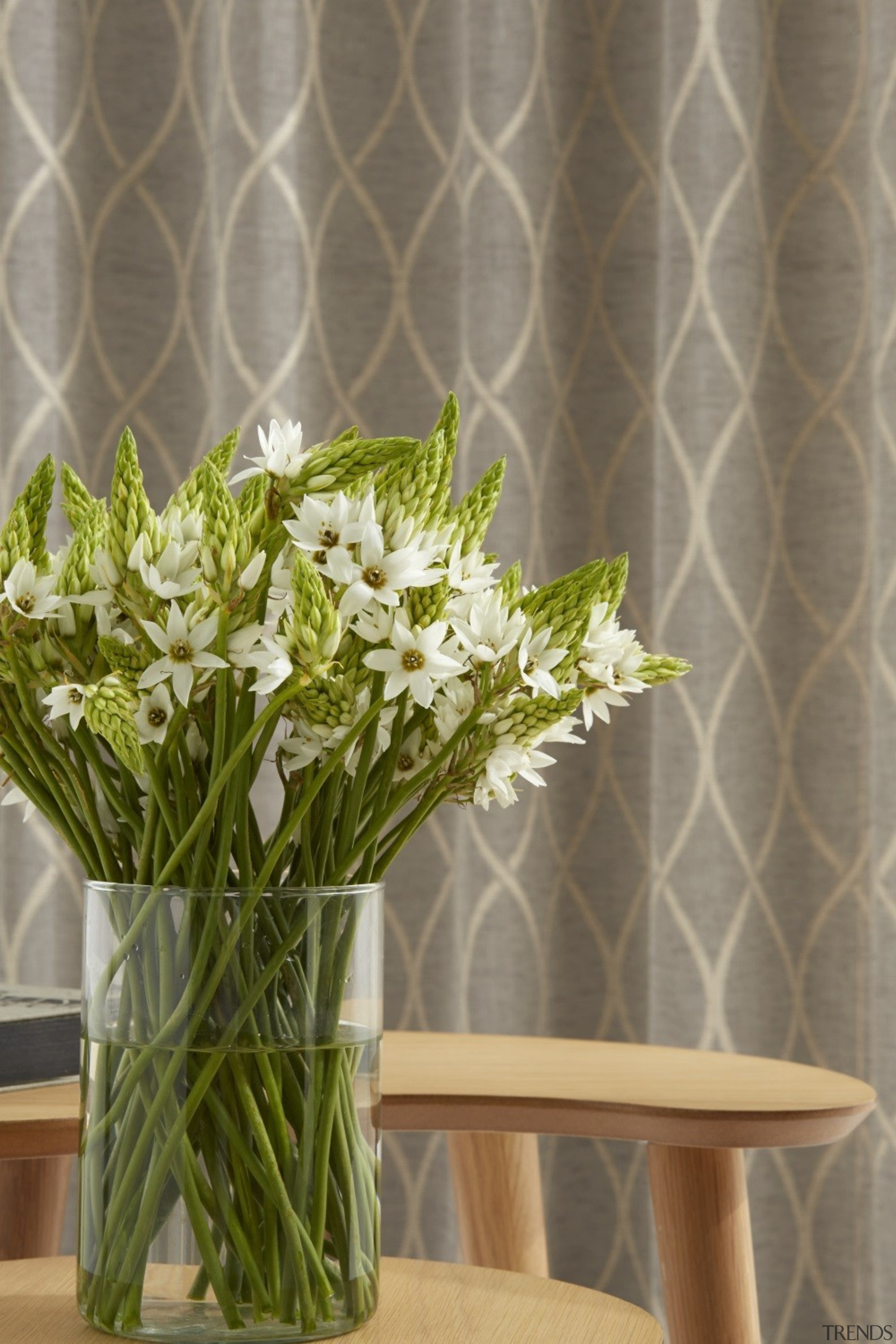 Harrisons Curtains - Harrisons Curtains - cut flowers cut flowers, flora, floral design, floristry, flower, flower arranging, flower bouquet, flowerpot, plant, vase, gray, brown