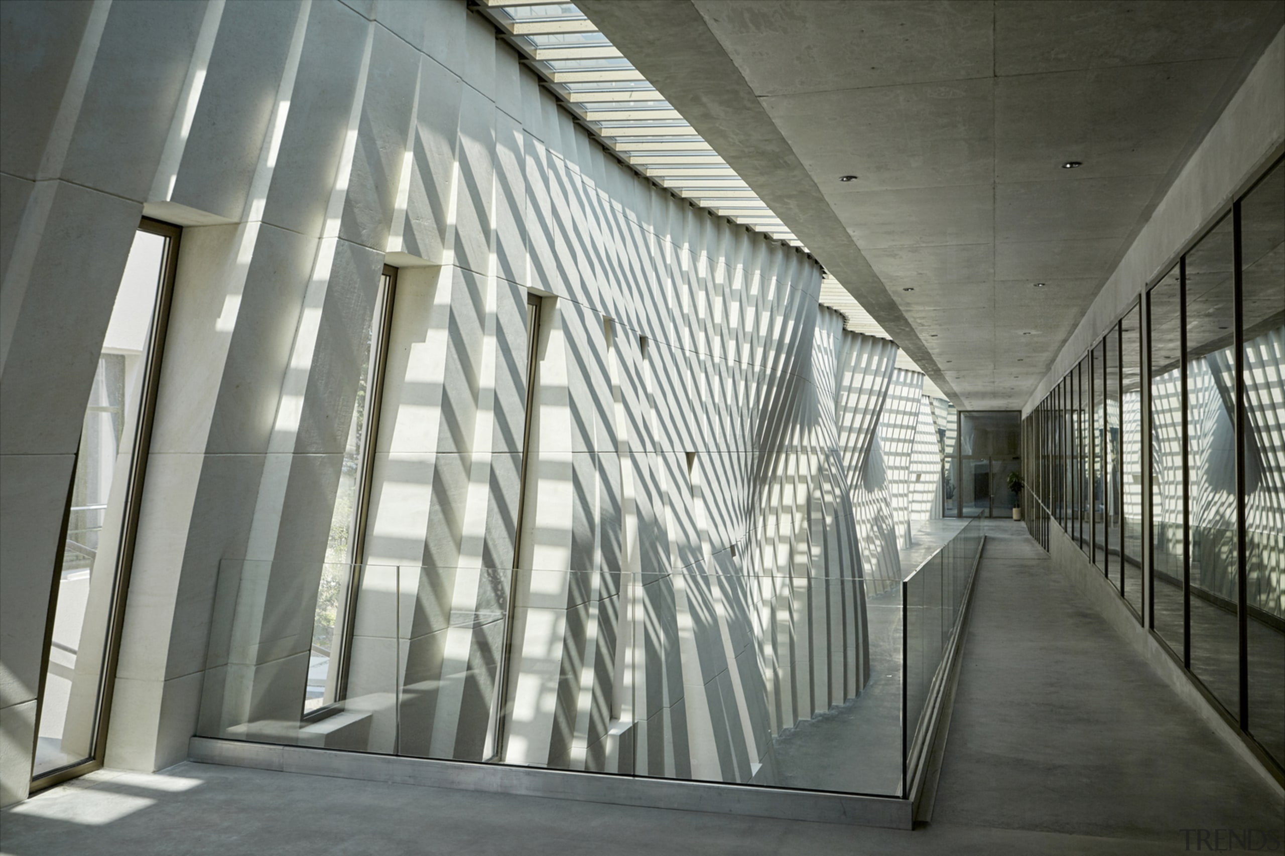 A skylight creates shadow play on the curving gray