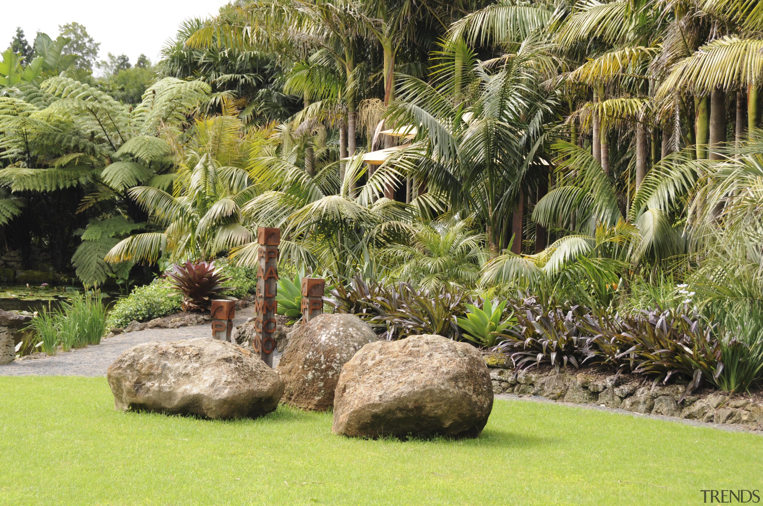 View of a designed and landscaped garden which arecales, botanical garden, flora, garden, grass, grass family, landscape, landscaping, palm tree, plant, tree, vegetation, brown, yellow